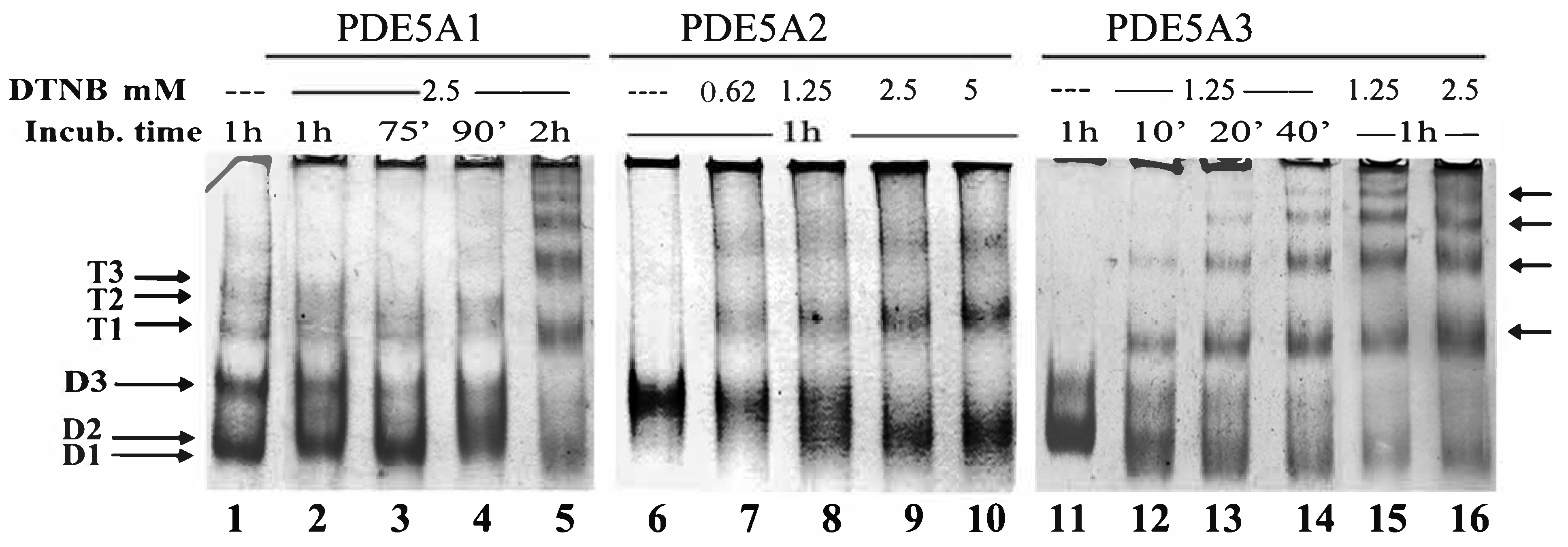 Ijms 24 01108 g005 Ijms 24 01108 g005