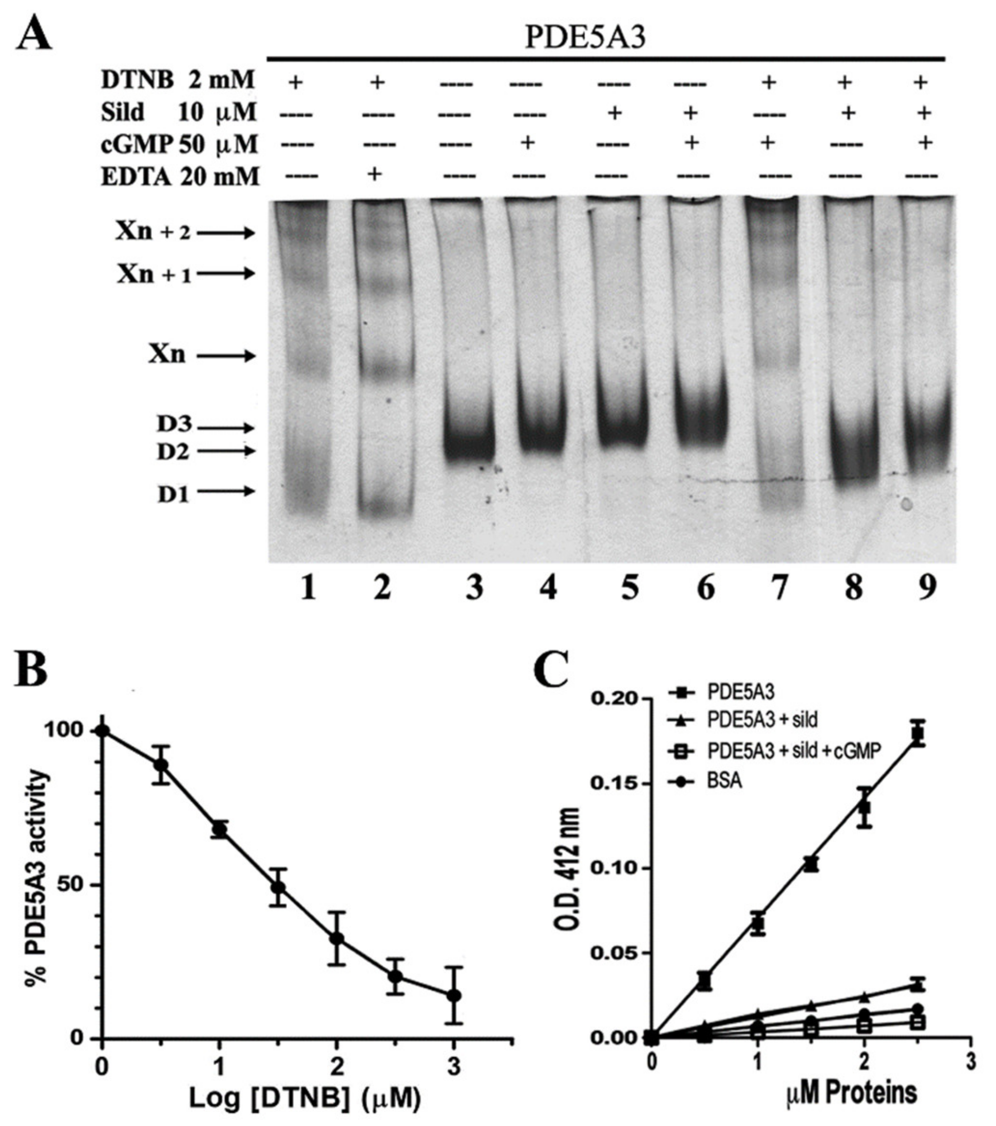 Ijms 24 01108 g006 Ijms 24 01108 g006