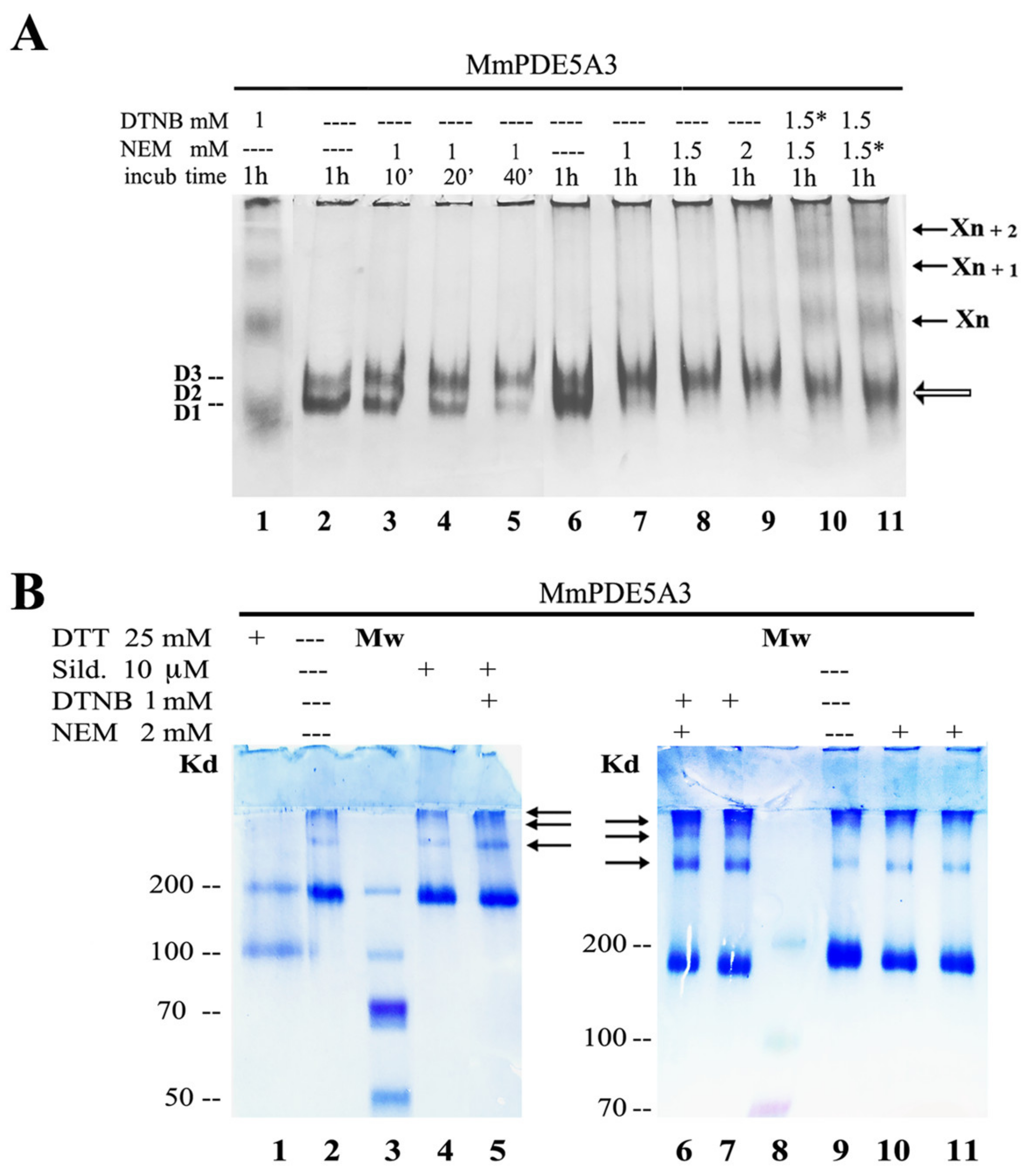 Ijms 24 01108 g007 Ijms 24 01108 g007