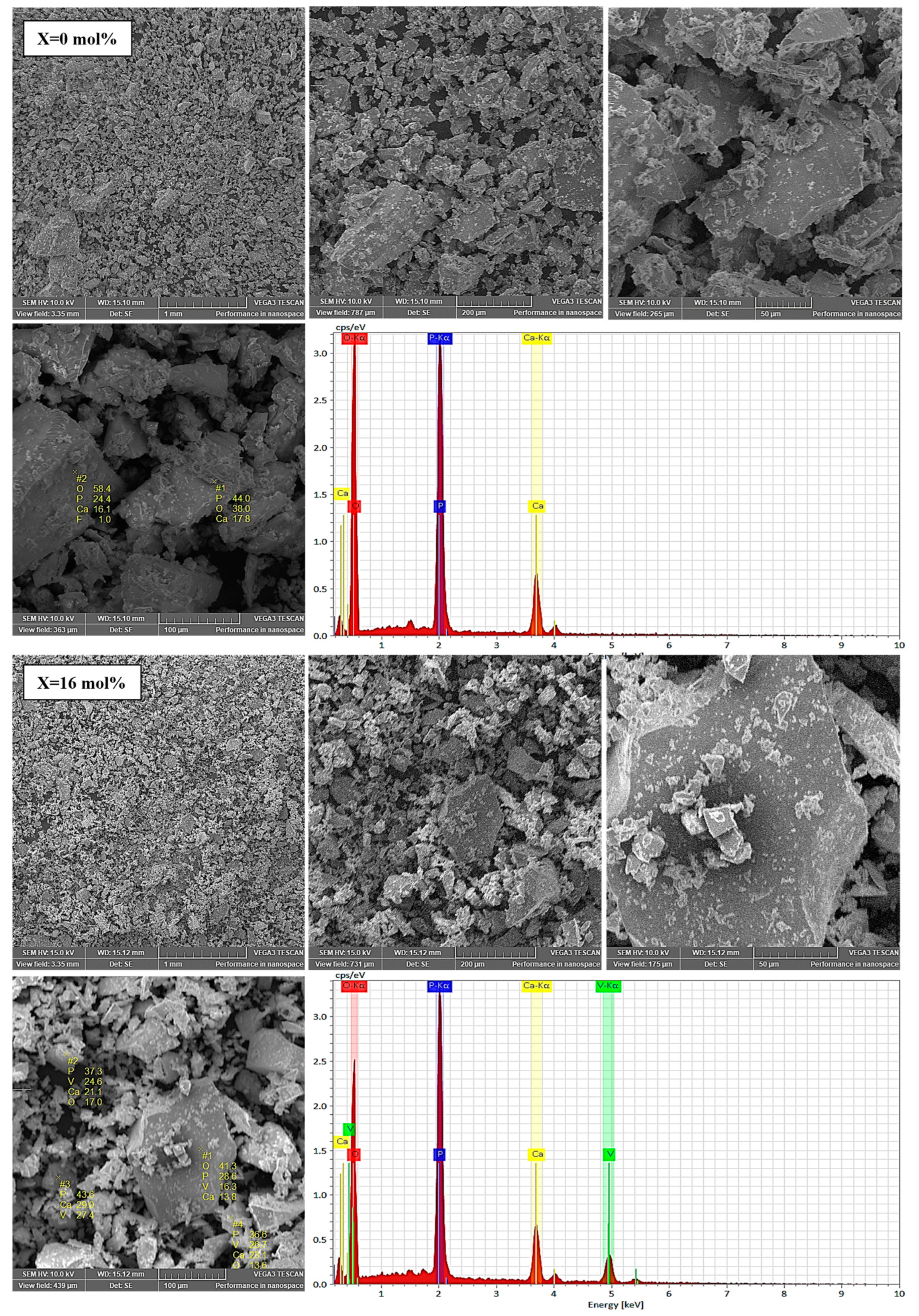 Ijms 24 01149 g003 Ijms 24 01149 g003