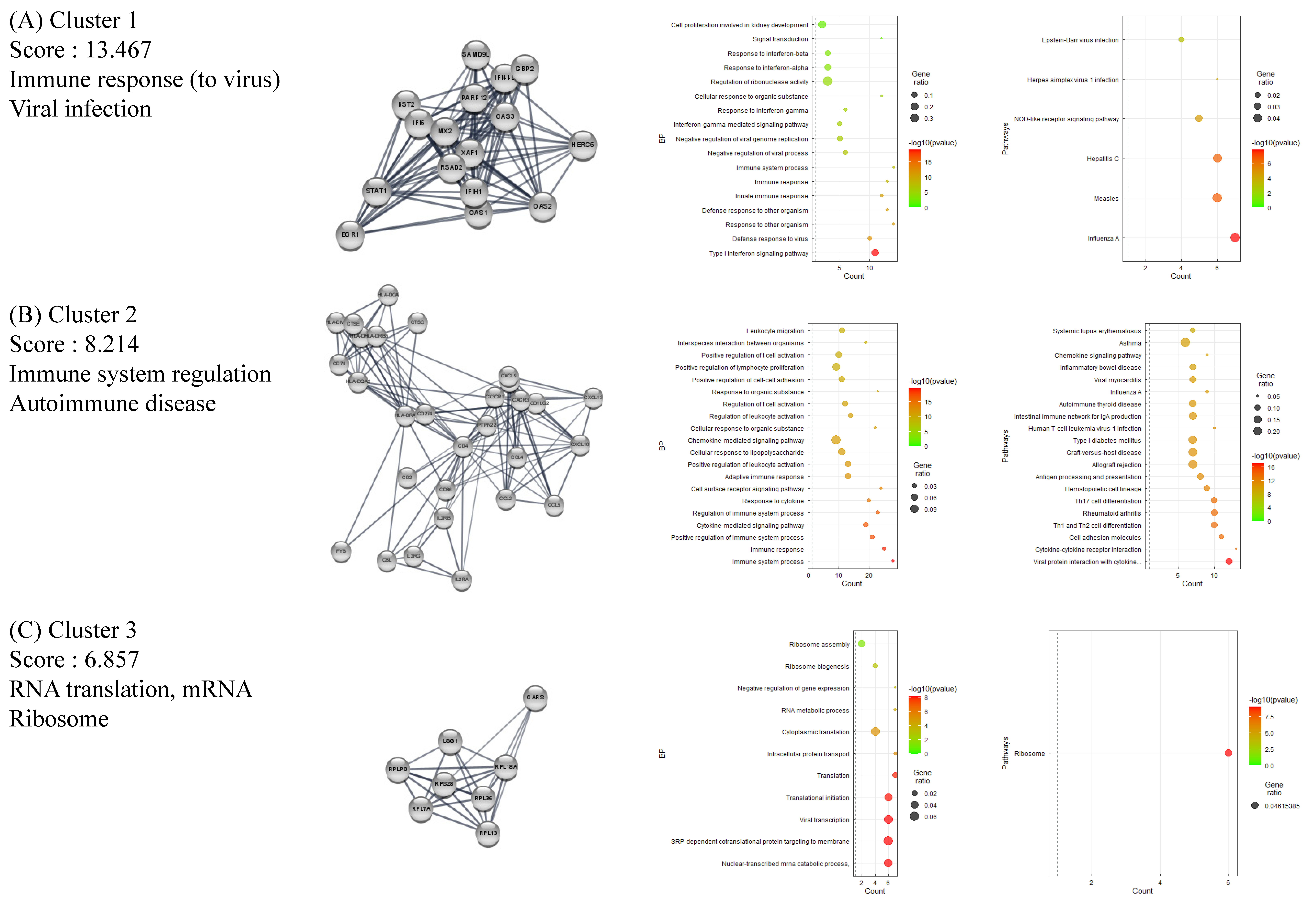 Ijms 24 01157 g002 Ijms 24 01157 g002