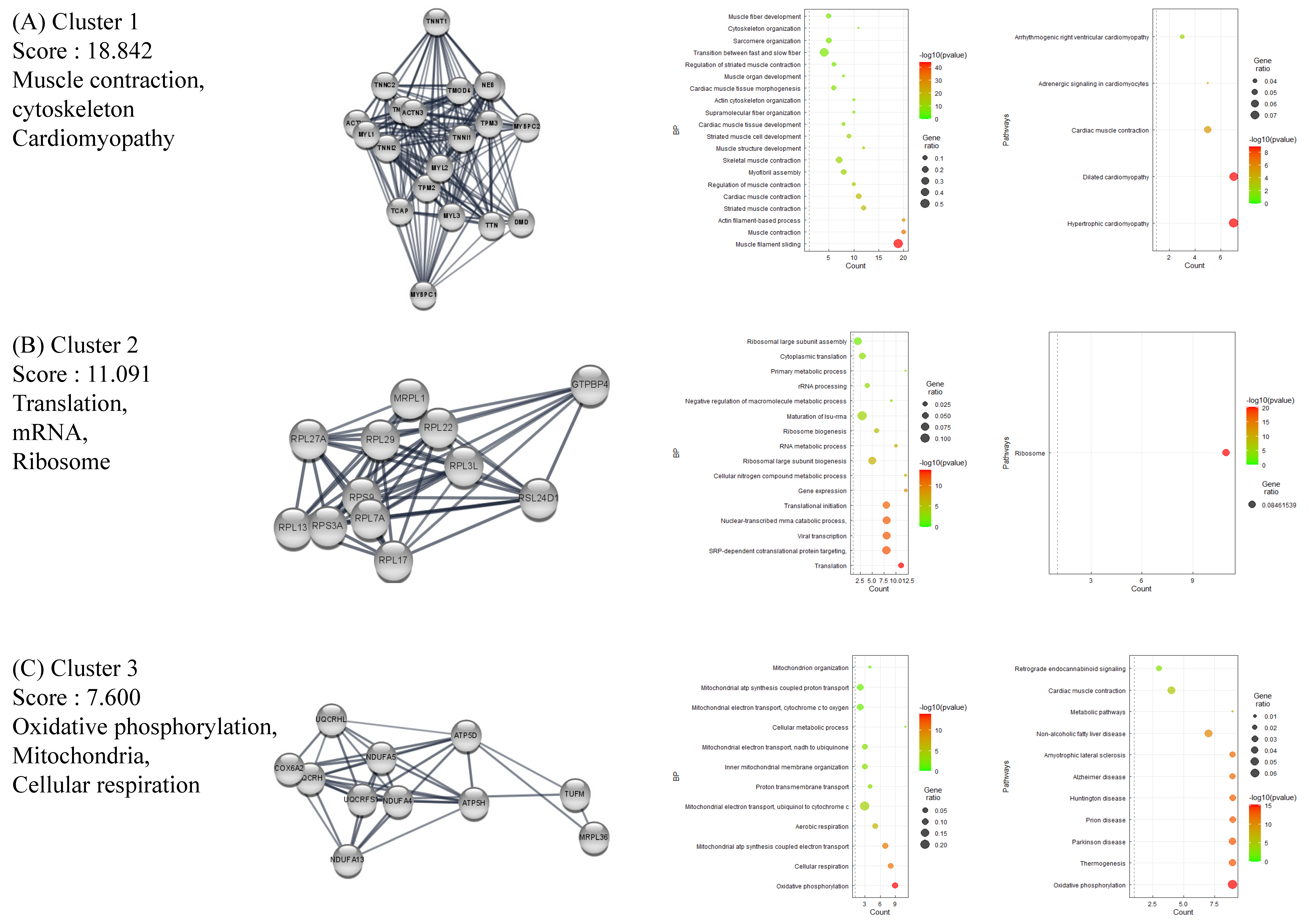 Ijms 24 01157 g003 Ijms 24 01157 g003