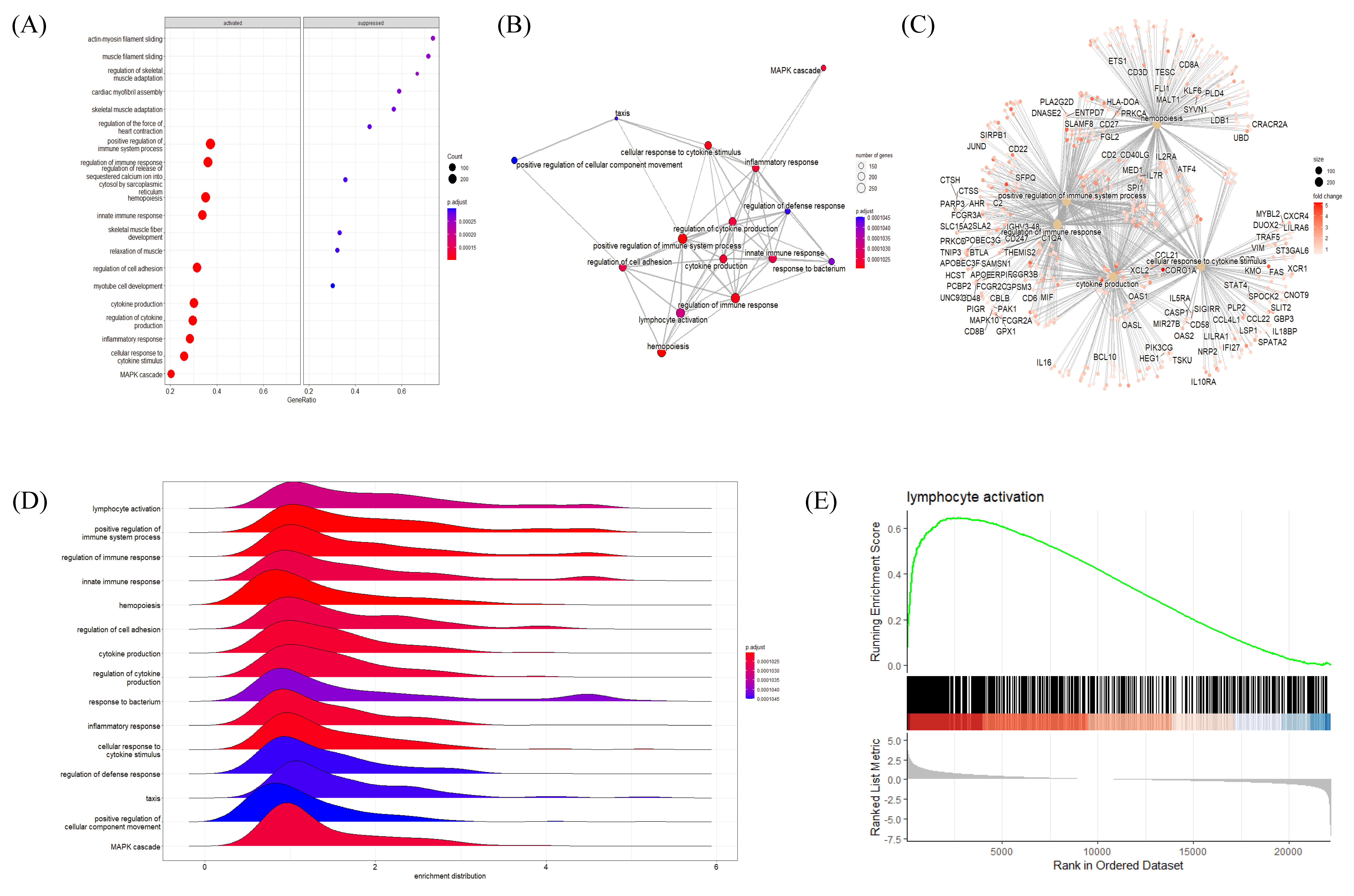 Ijms 24 01157 g004 Ijms 24 01157 g004