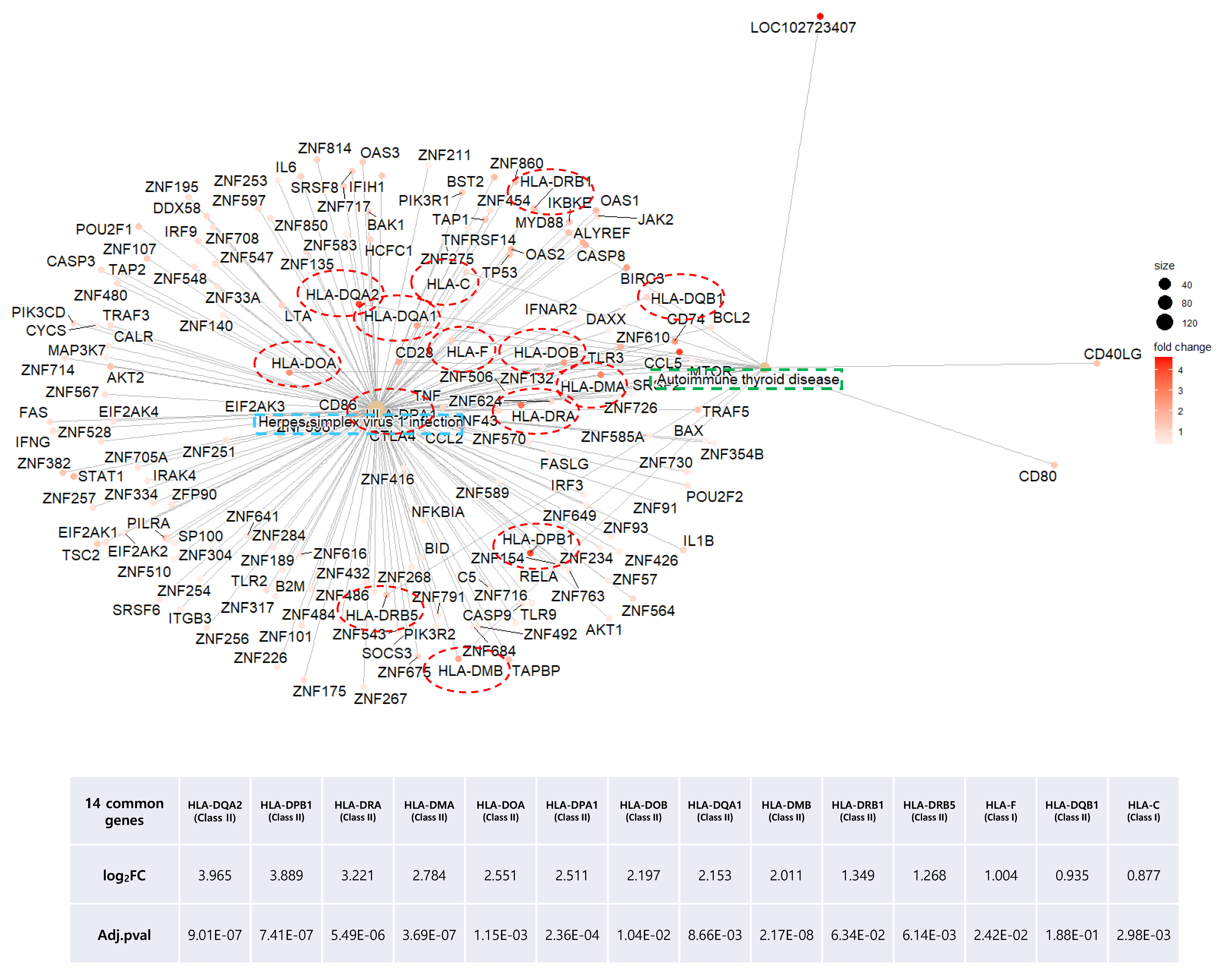 Ijms 24 01157 g007 Ijms 24 01157 g007