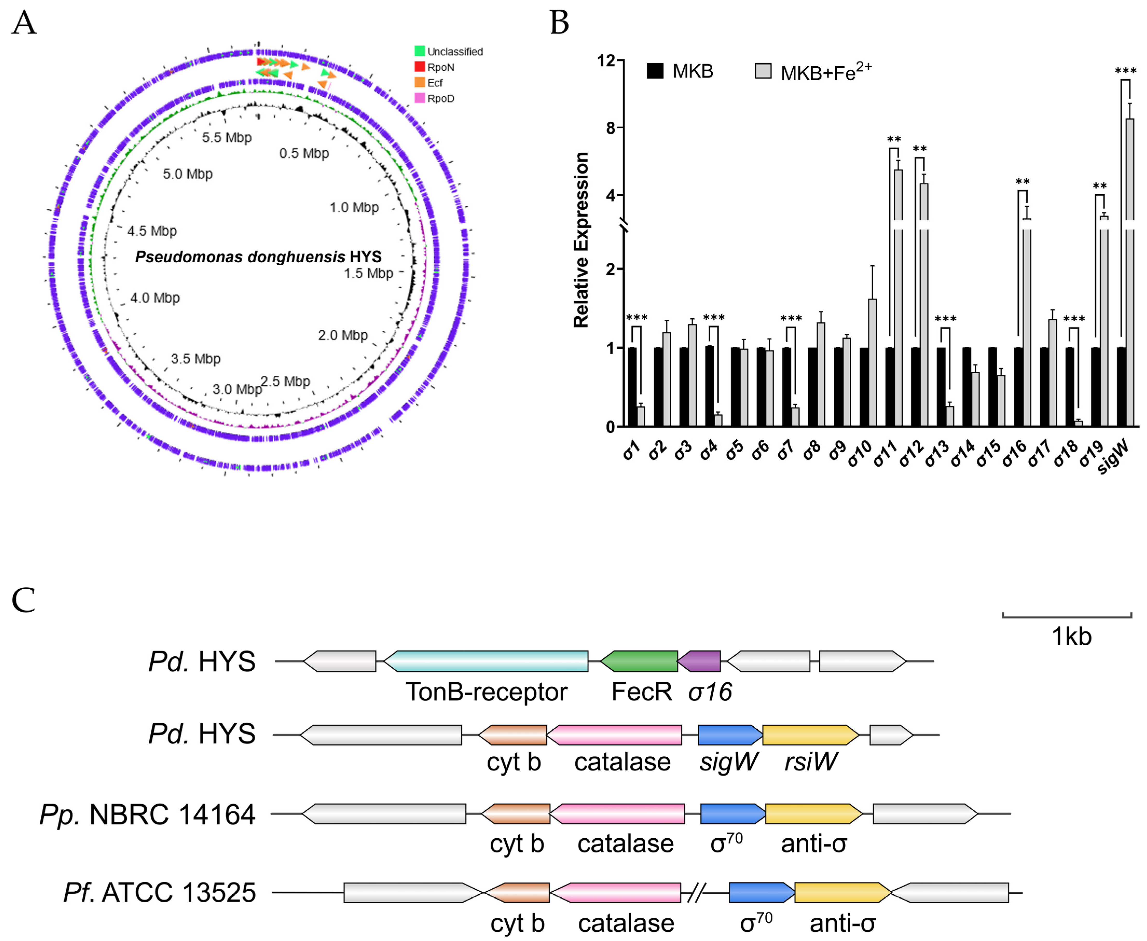Ijms 24 01184 g001 Ijms 24 01184 g001