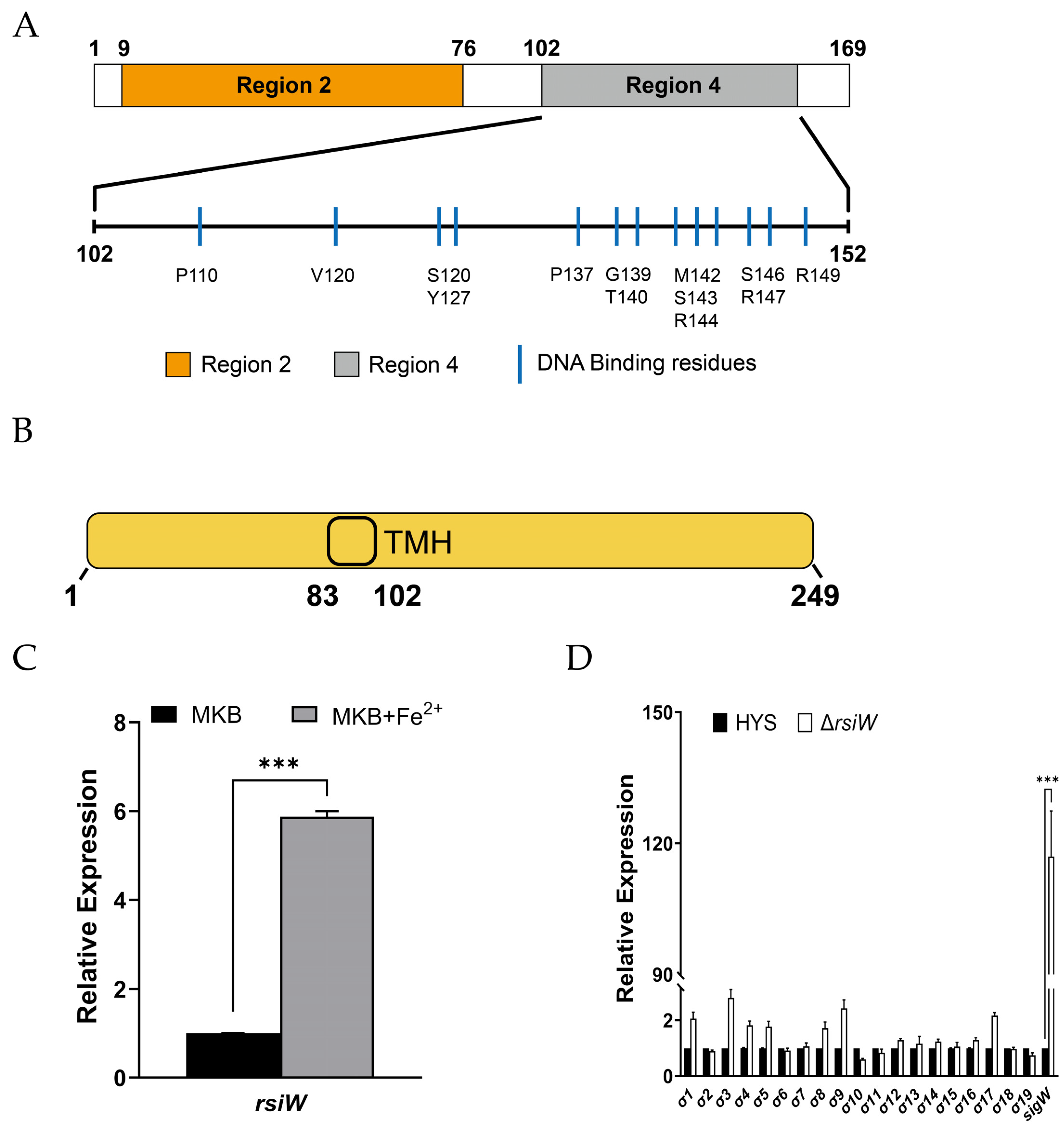 Ijms 24 01184 g002 Ijms 24 01184 g002
