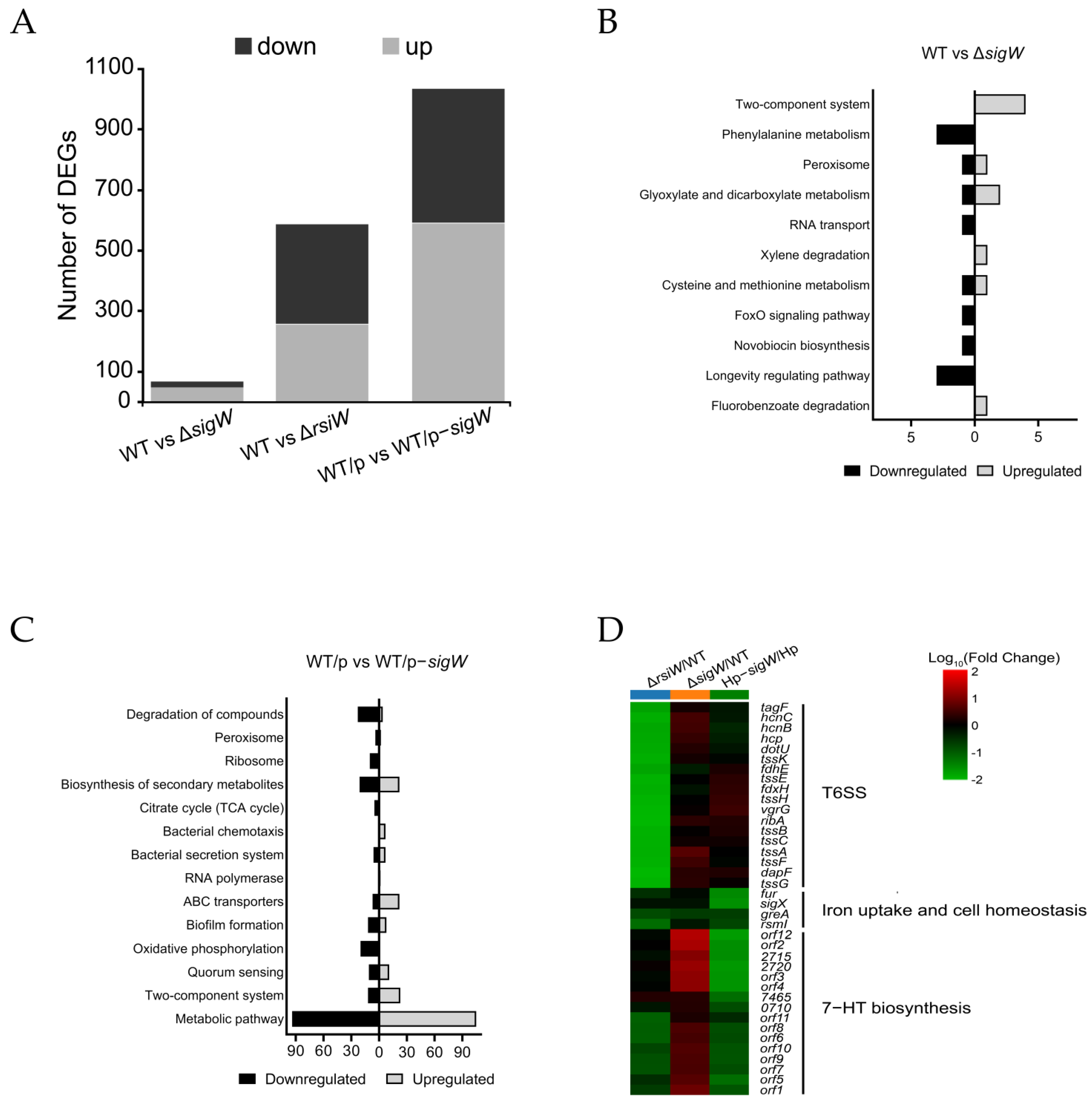 Ijms 24 01184 g003 Ijms 24 01184 g003