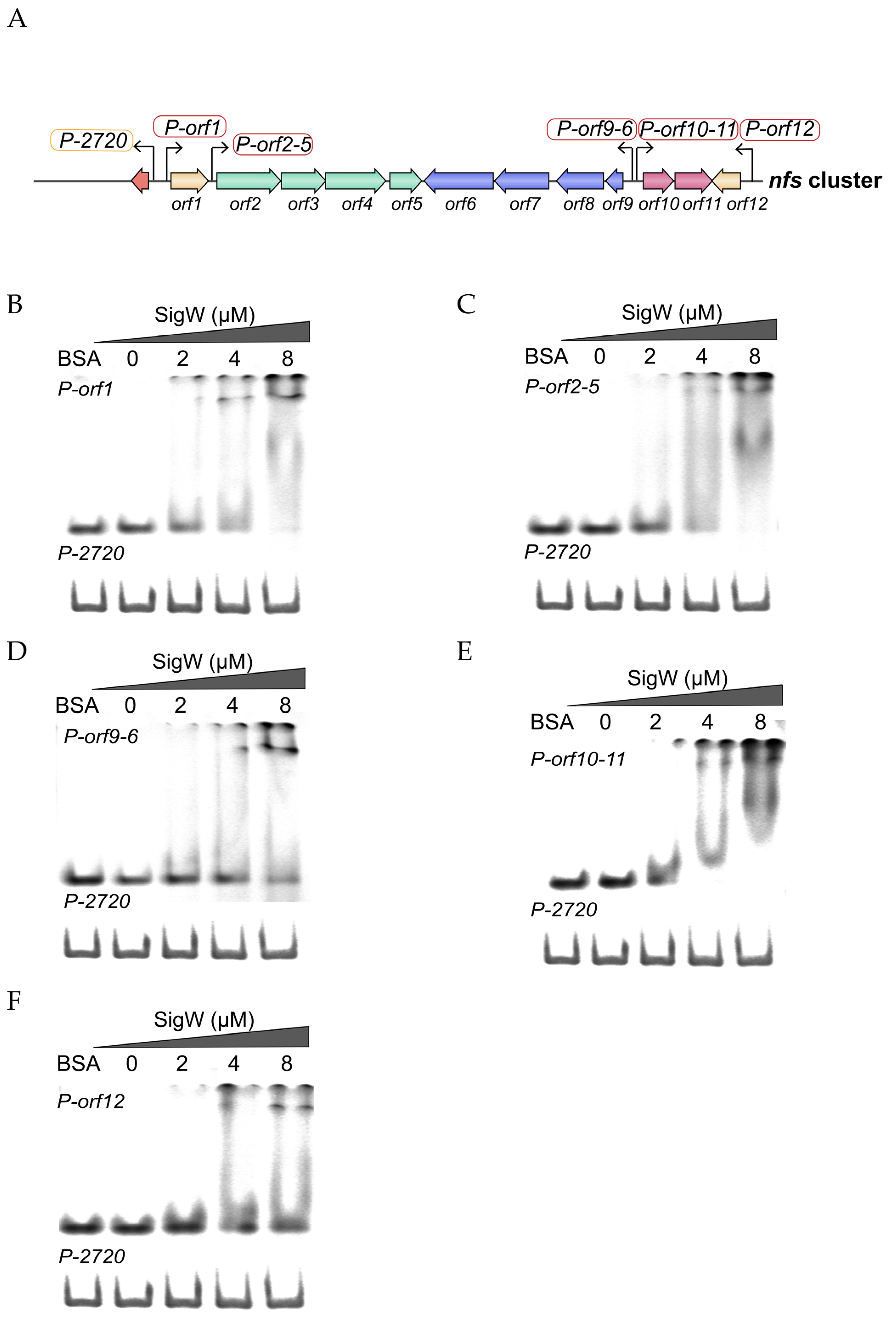 Ijms 24 01184 g005 Ijms 24 01184 g005