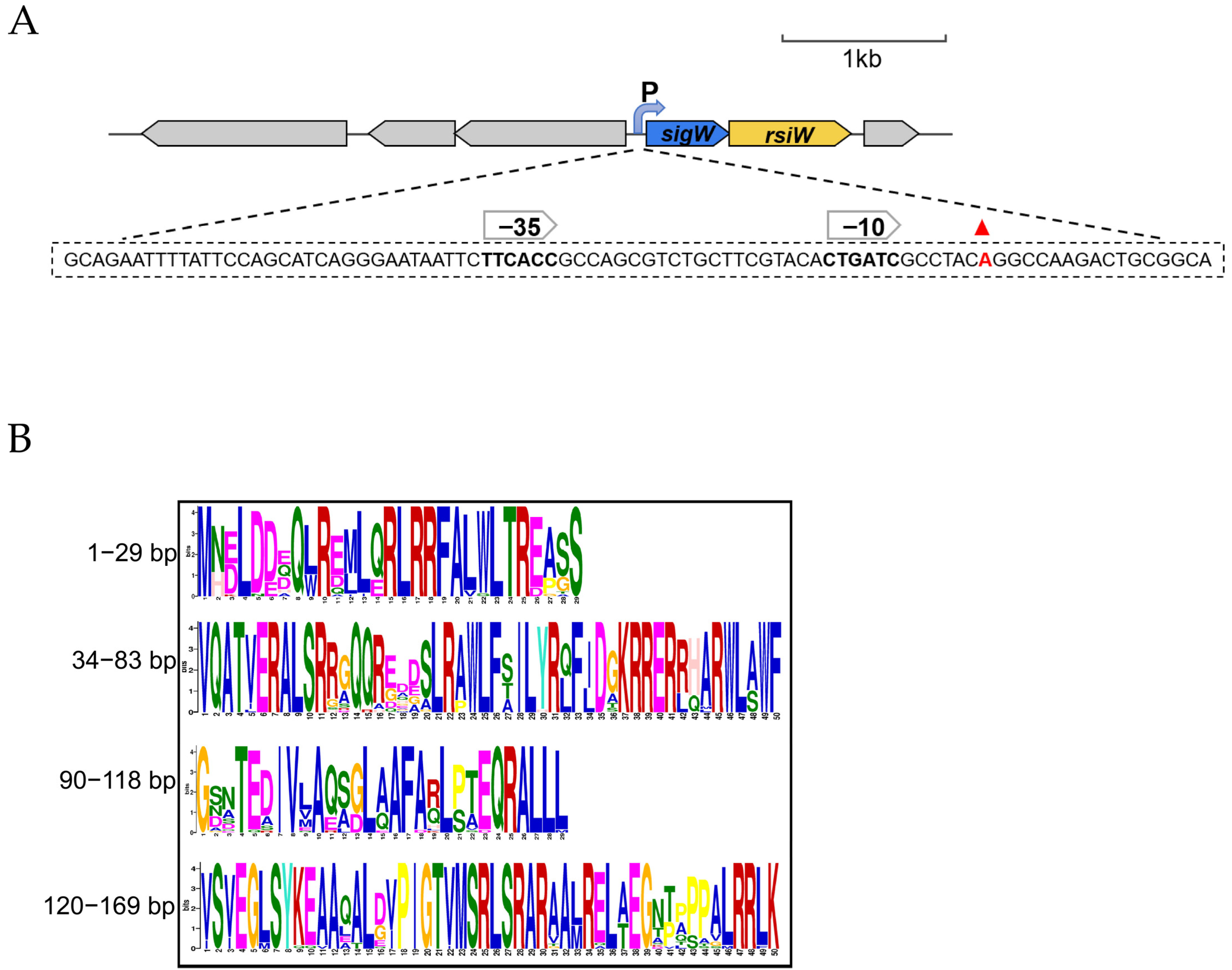 Ijms 24 01184 g007 Ijms 24 01184 g007