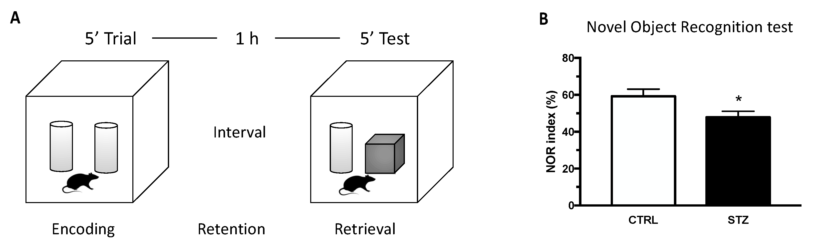 Ijms 24 01196 g001 Ijms 24 01196 g001