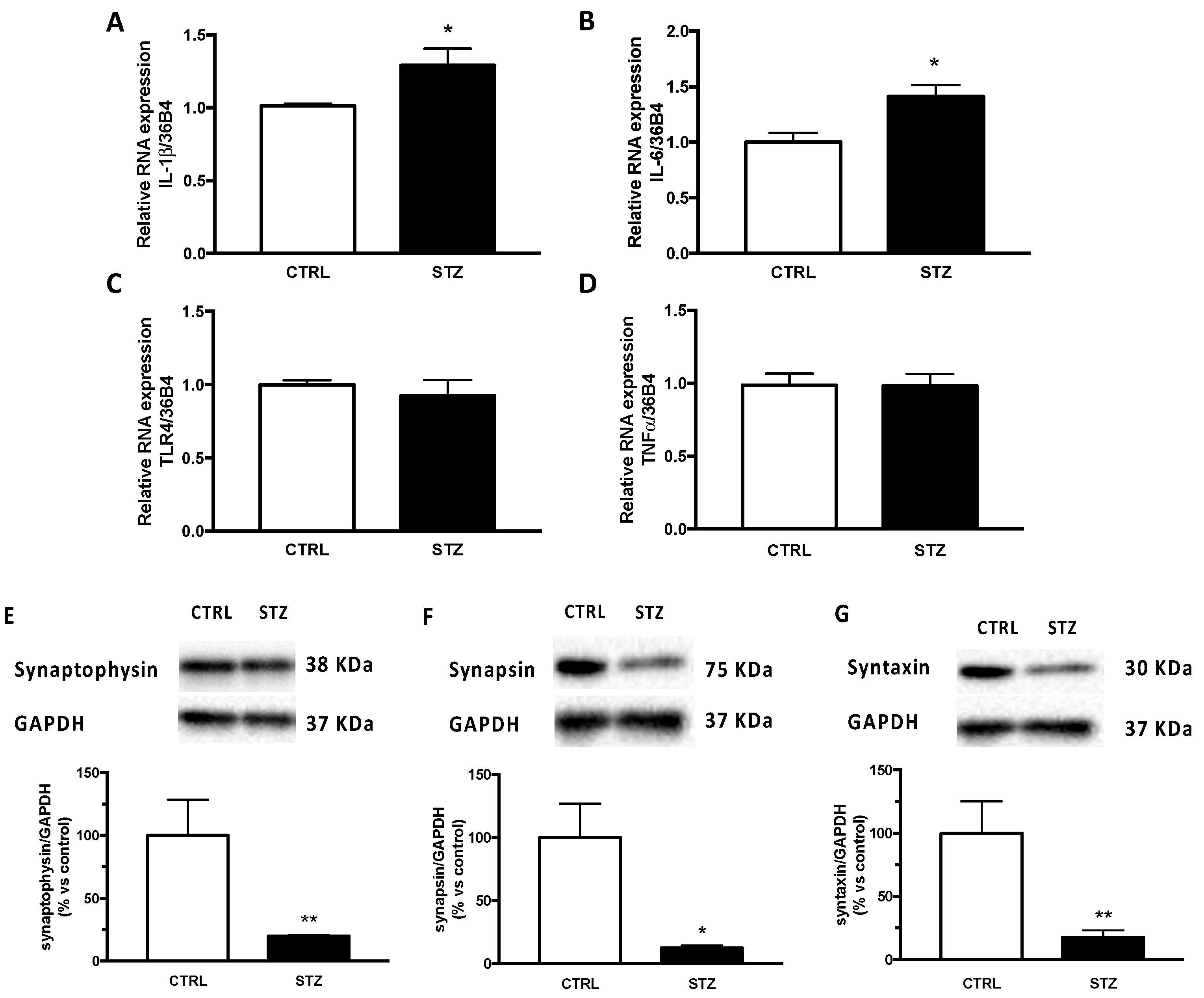 Ijms 24 01196 g002 Ijms 24 01196 g002