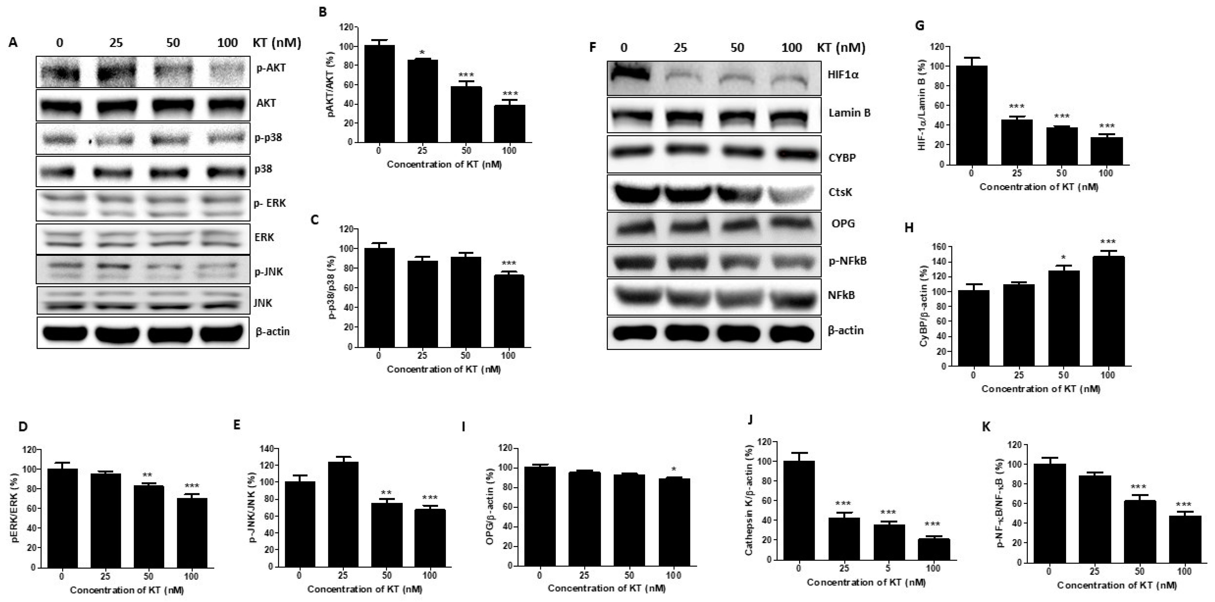 Ijms 24 01207 g004