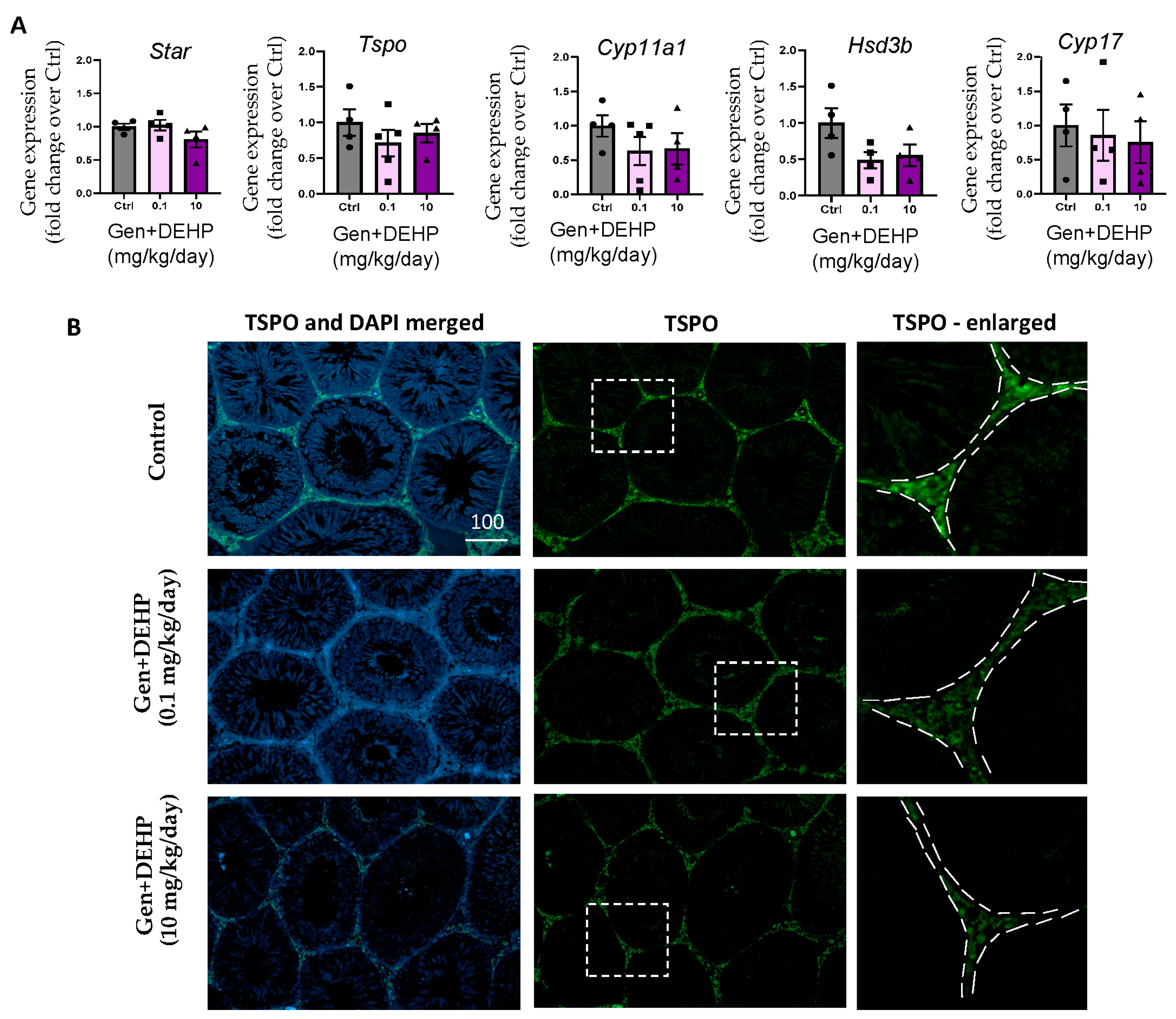 Ijms 24 01211 g005 Ijms 24 01211 g005
