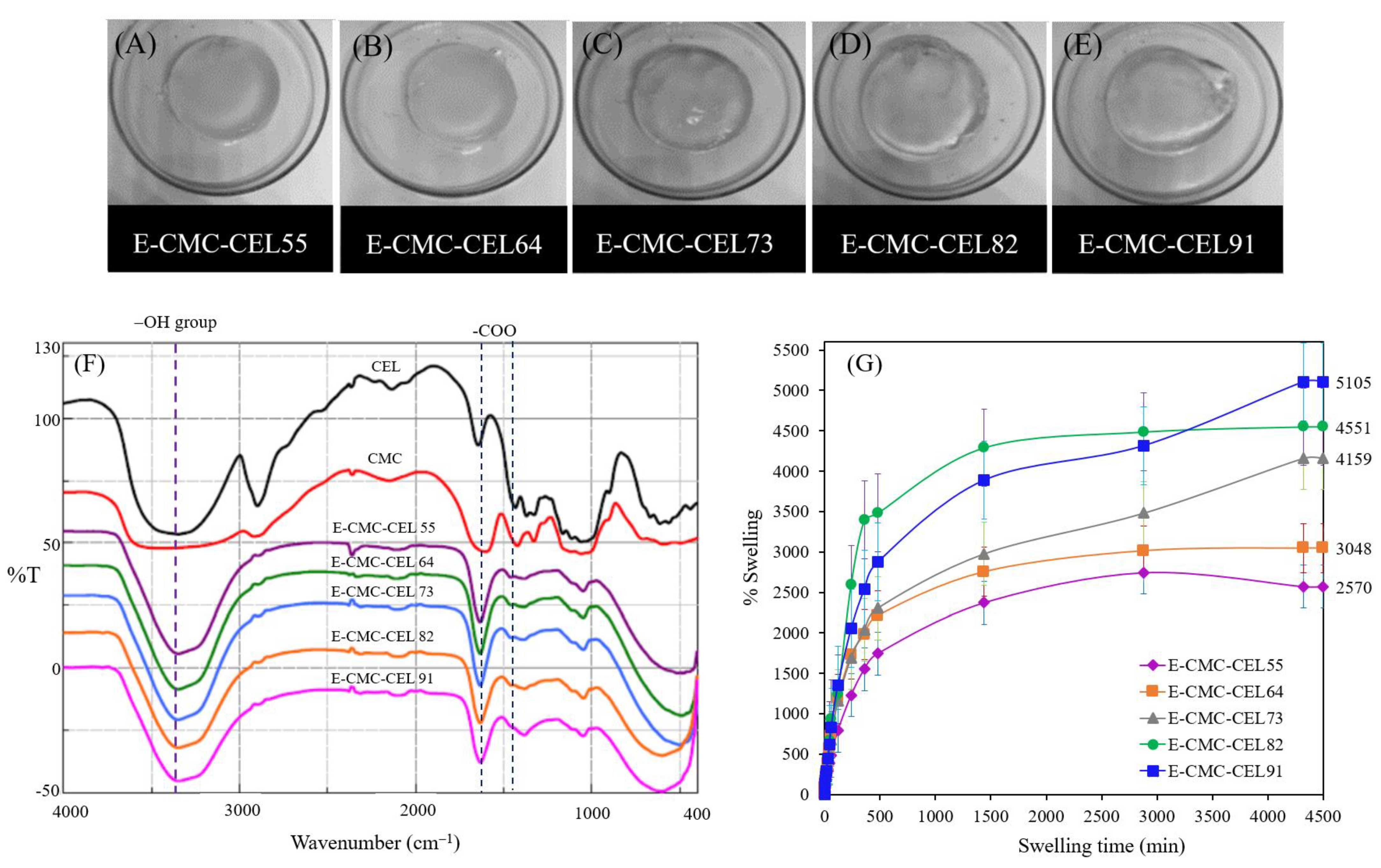 Ijms 24 01230 g005 Ijms 24 01230 g005