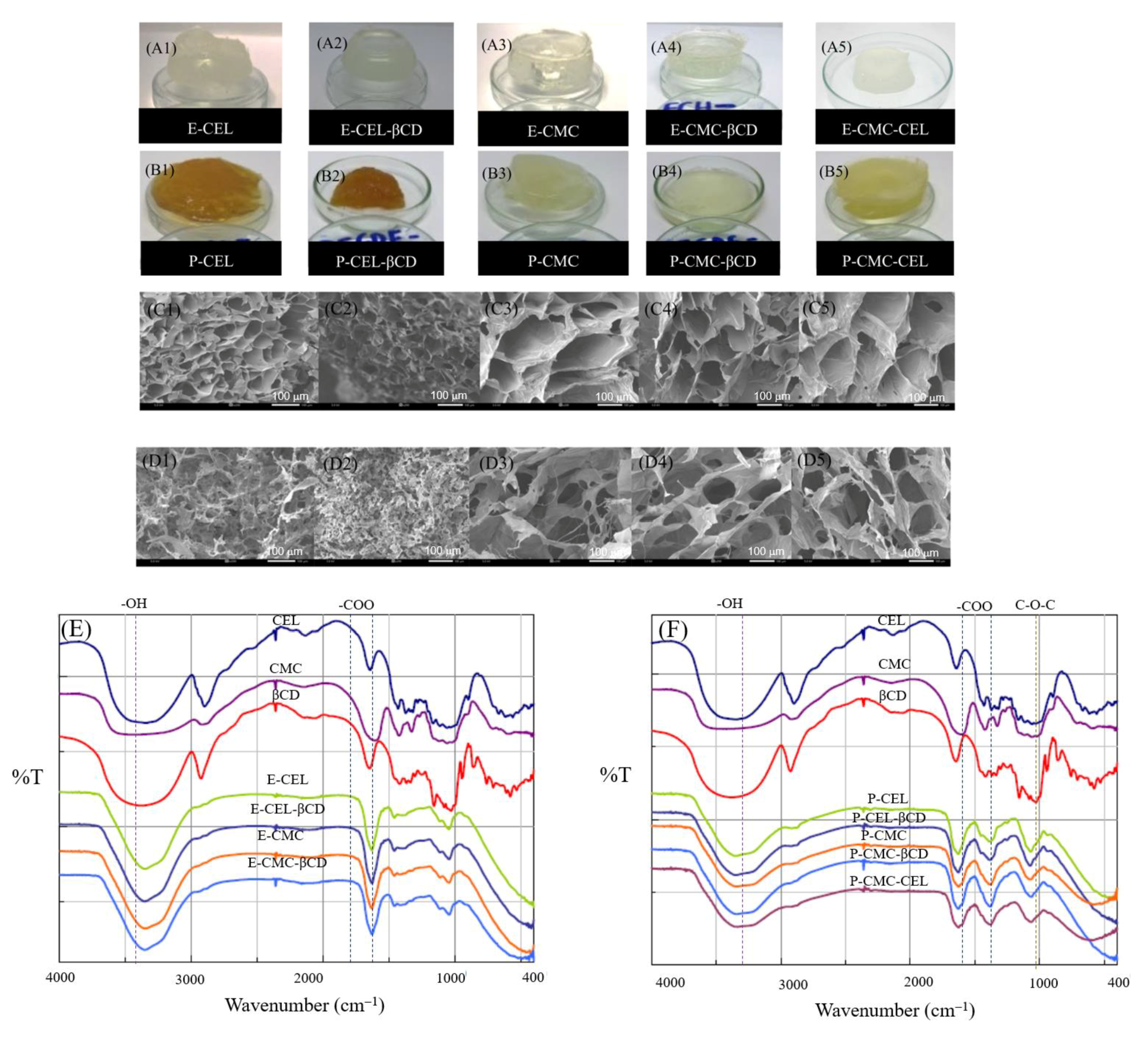 Ijms 24 01230 g007 Ijms 24 01230 g007