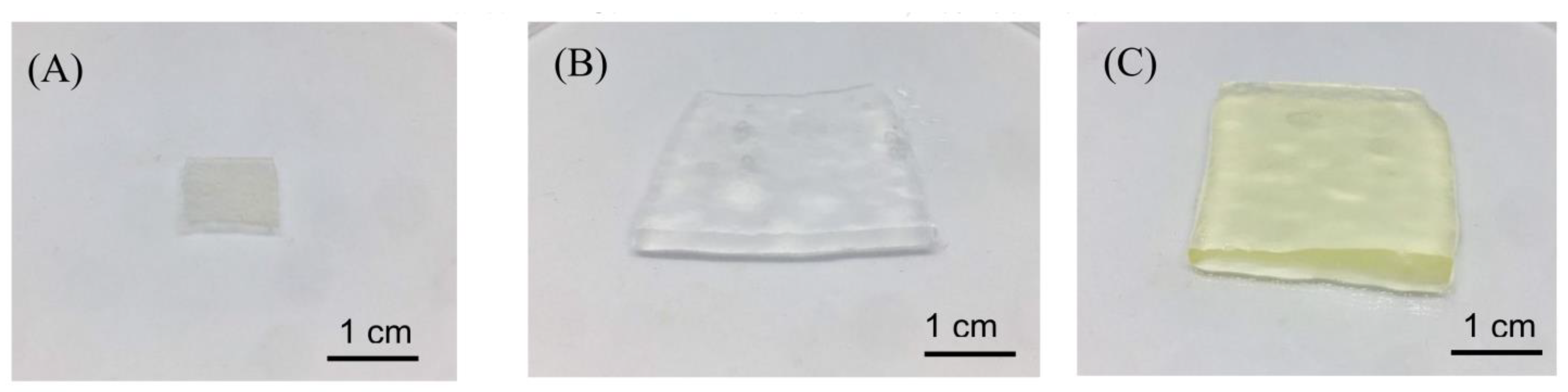 Ijms 24 01230 g012 Ijms 24 01230 g012