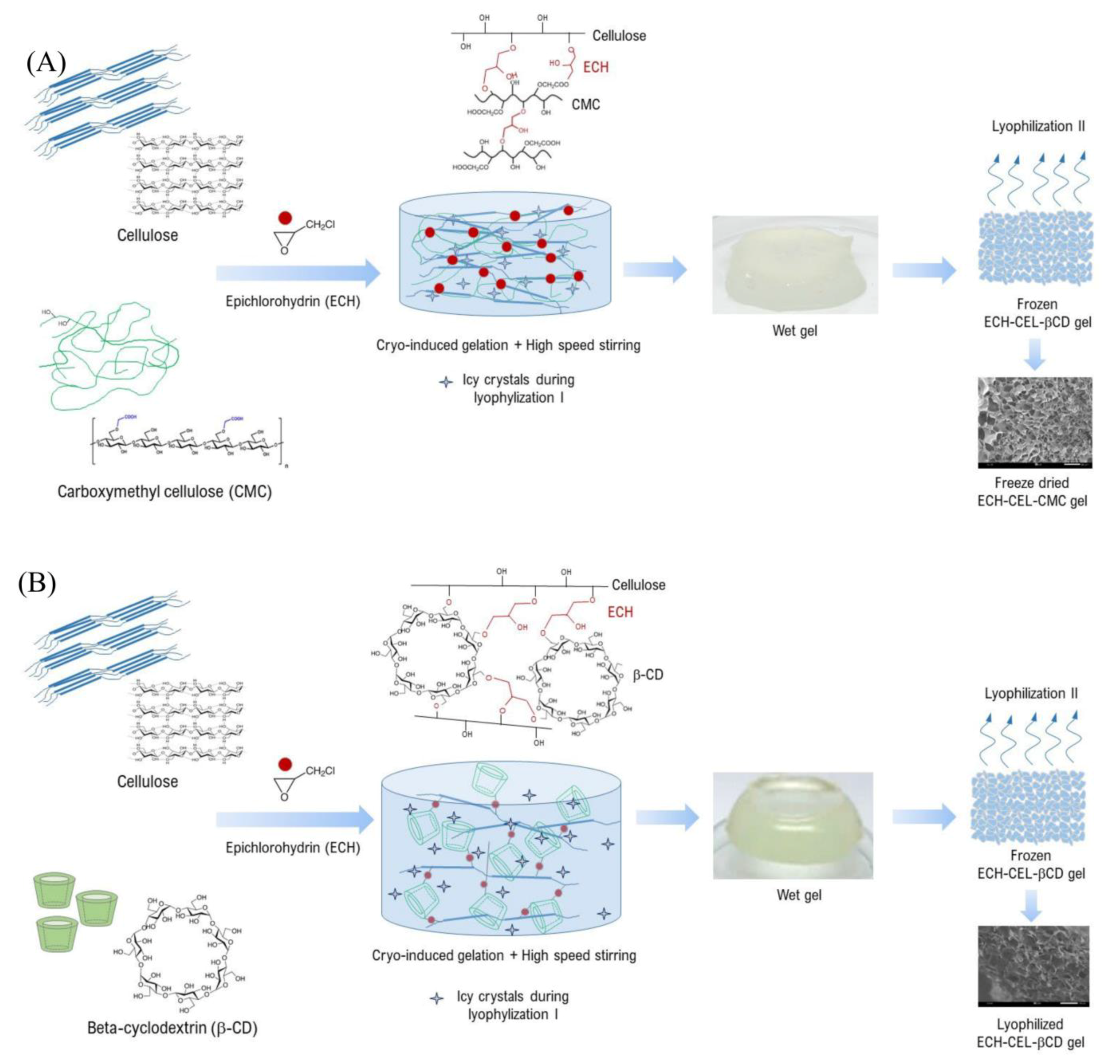 Ijms 24 01230 sch001 Ijms 24 01230 sch001