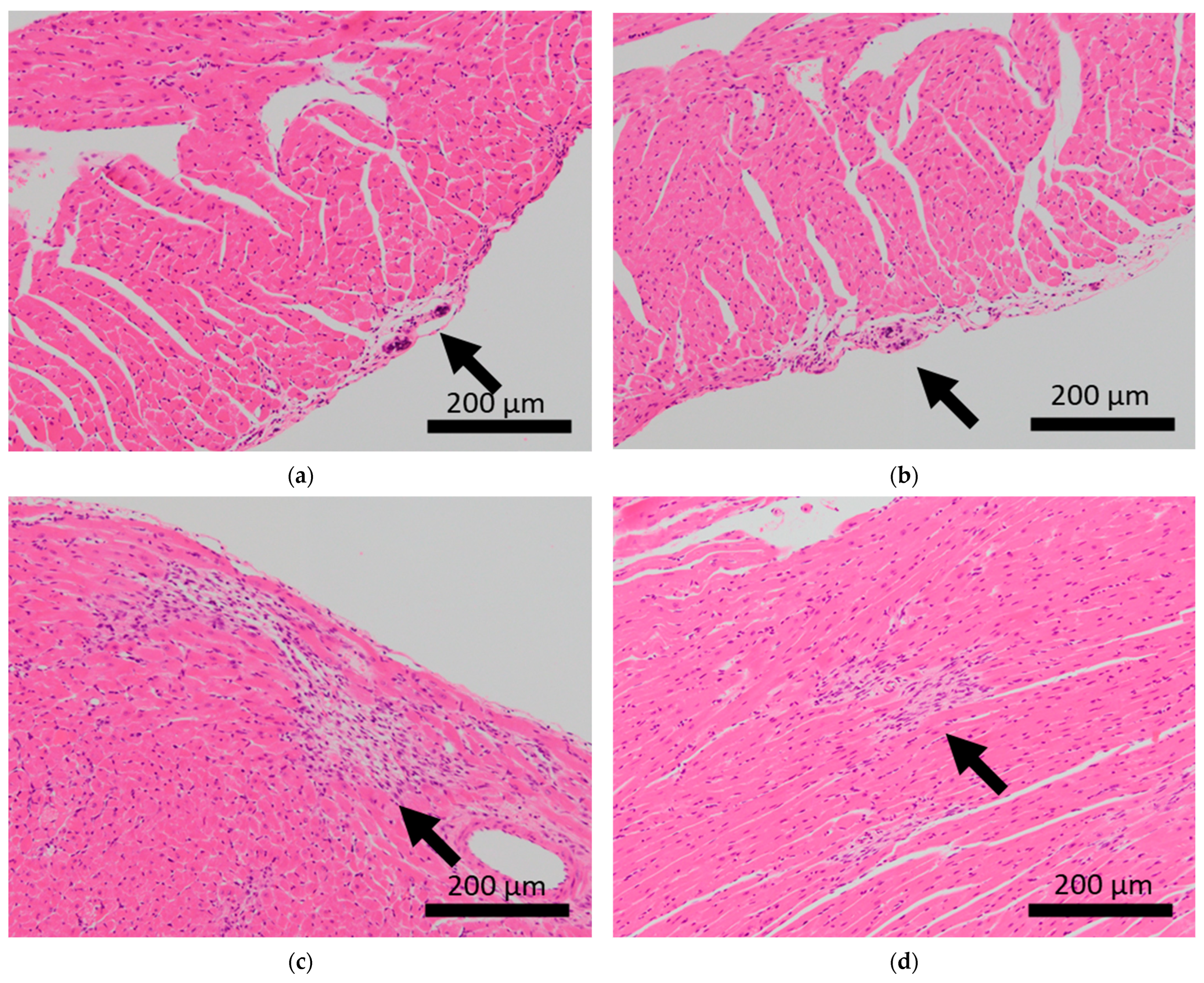 Ijms 24 01237 g002 Ijms 24 01237 g002