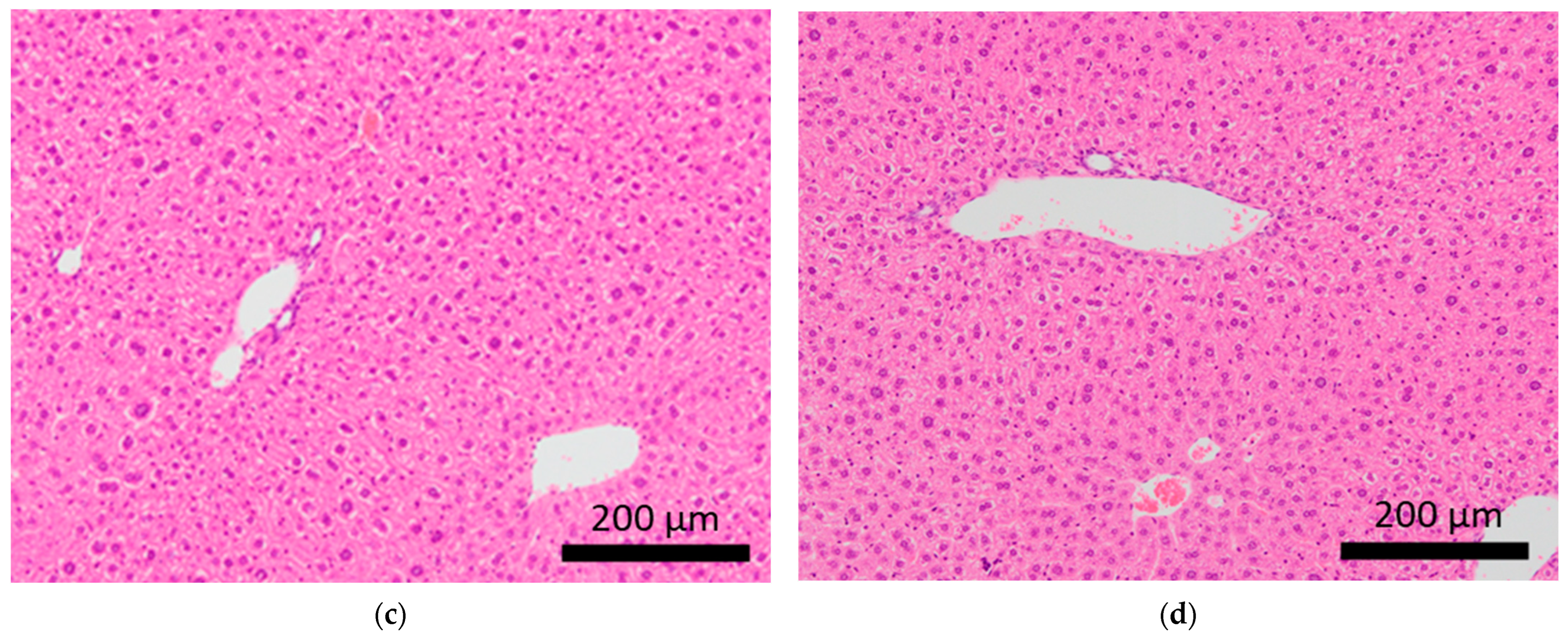 Ijms 24 01237 g003b Ijms 24 01237 g003b