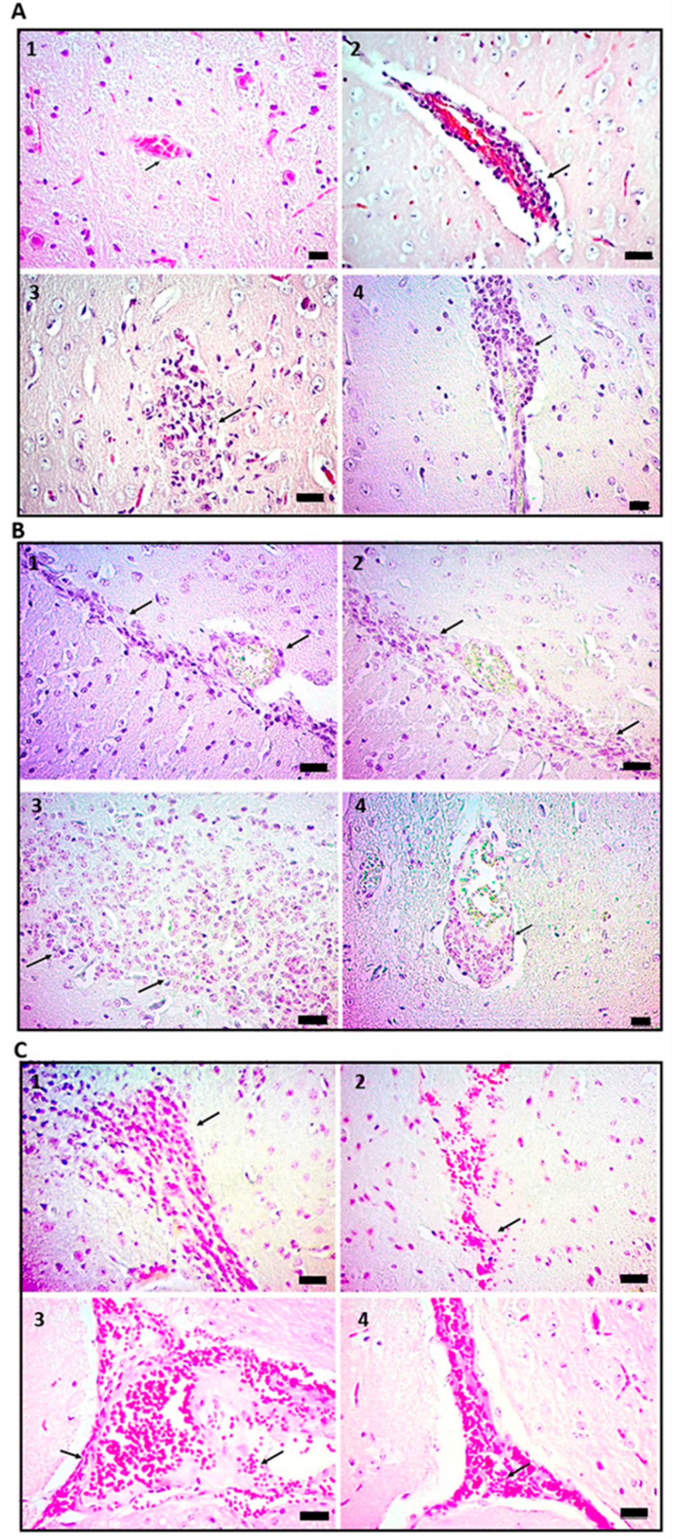 Ijms 24 01242 g001 Ijms 24 01242 g001