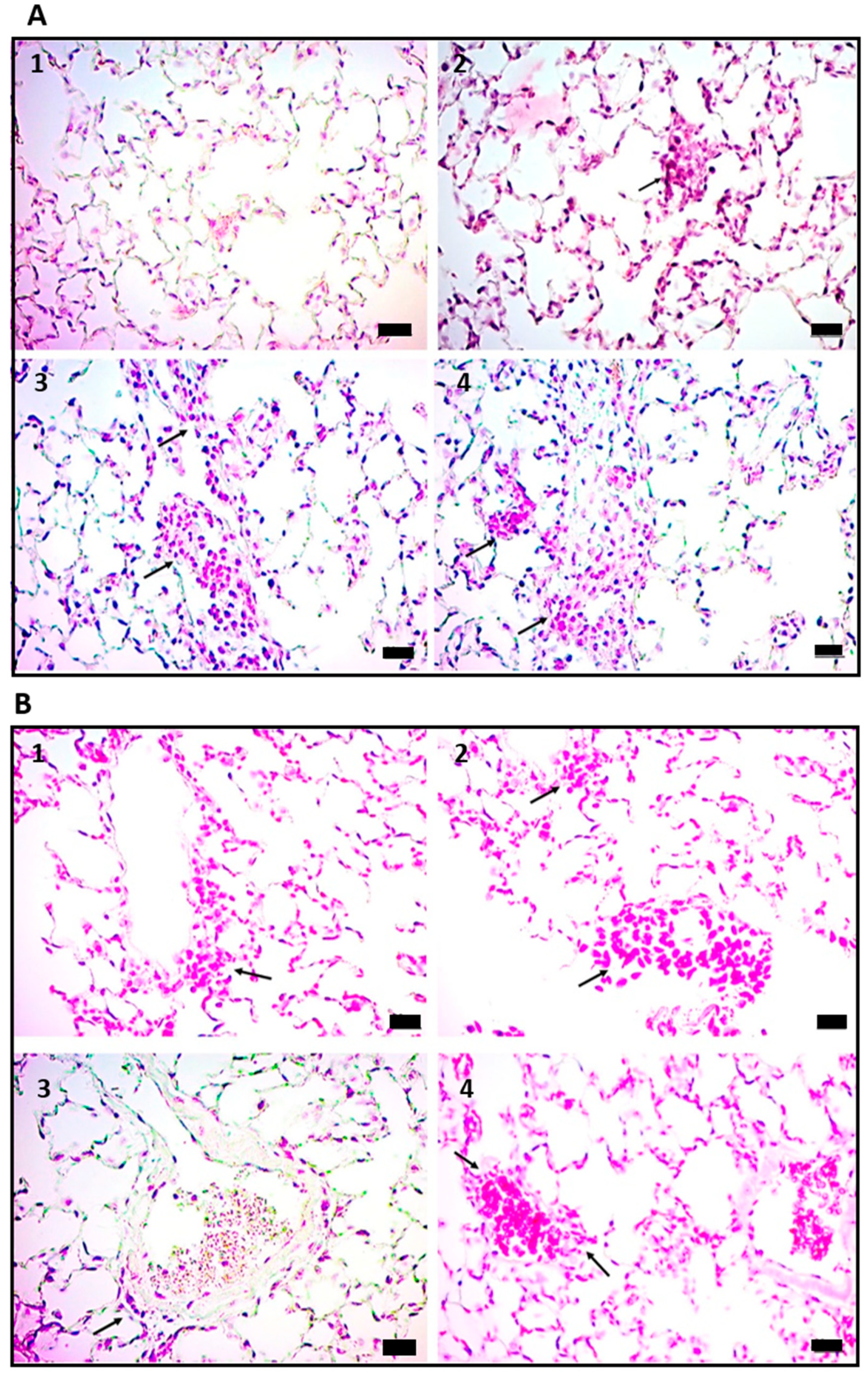 Ijms 24 01242 g002 Ijms 24 01242 g002