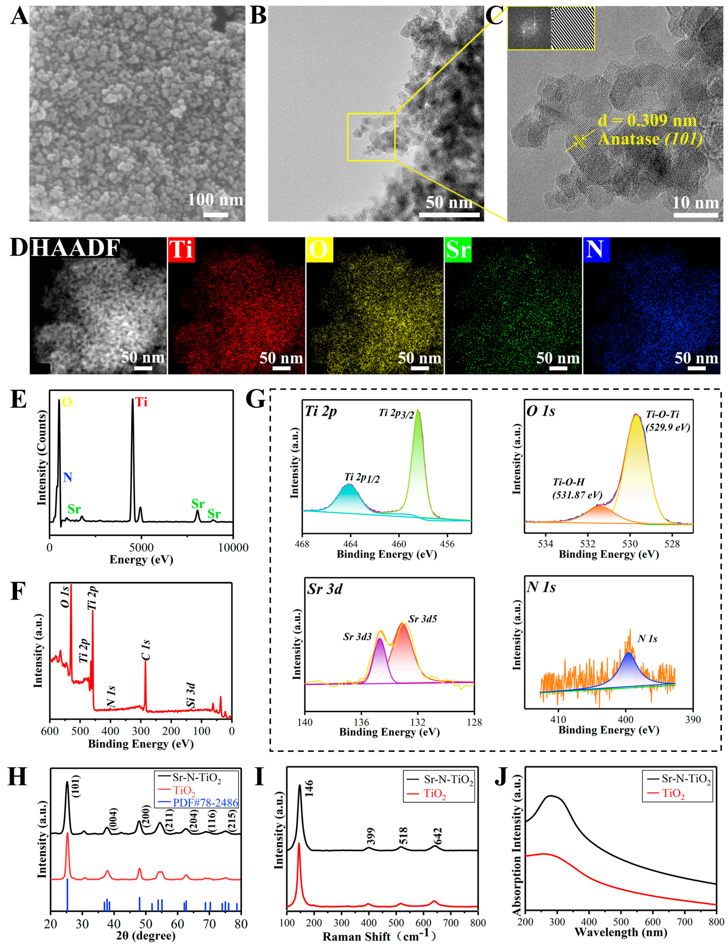 Ijms 24 01274 g001 Ijms 24 01274 g001
