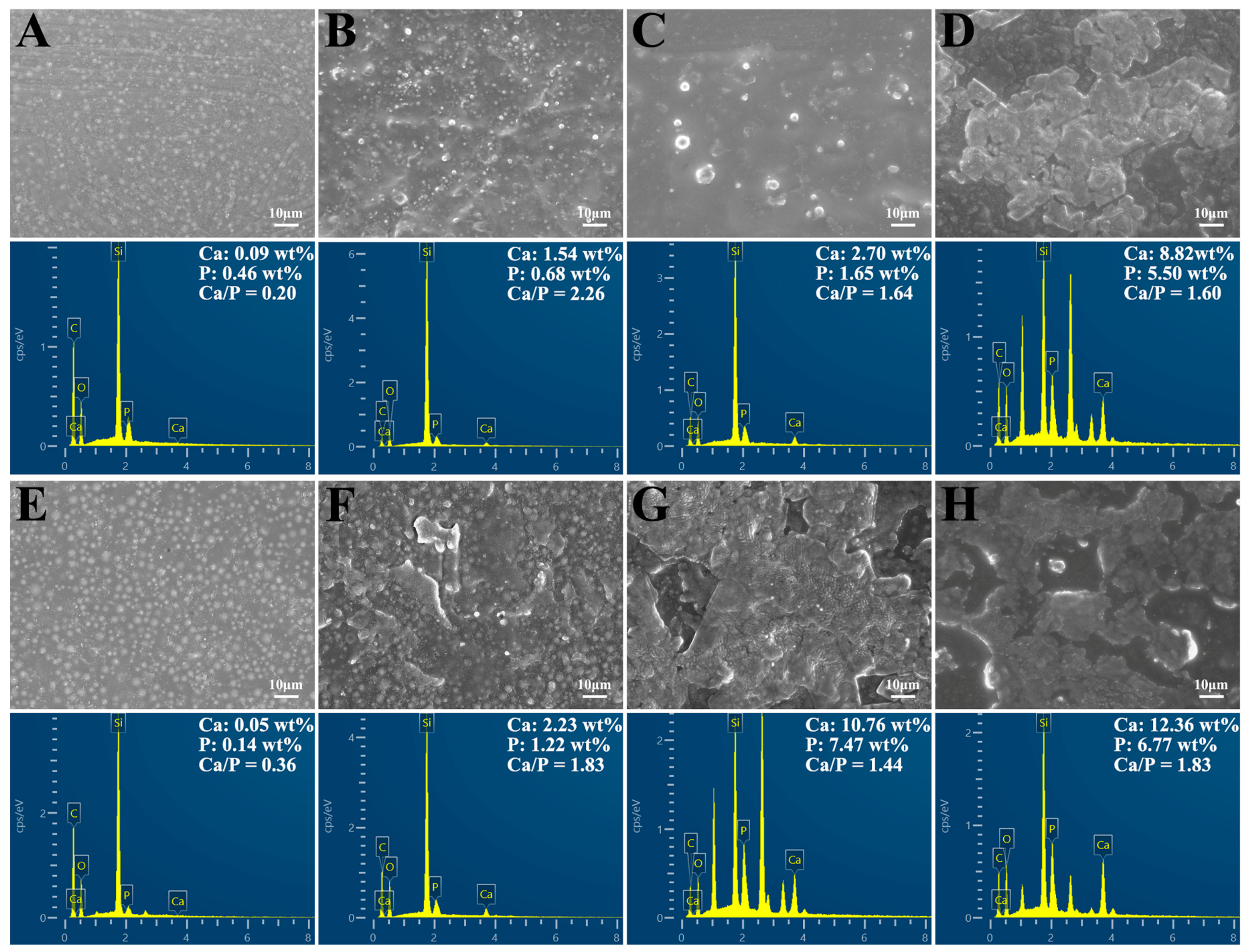 Ijms 24 01274 g005 Ijms 24 01274 g005