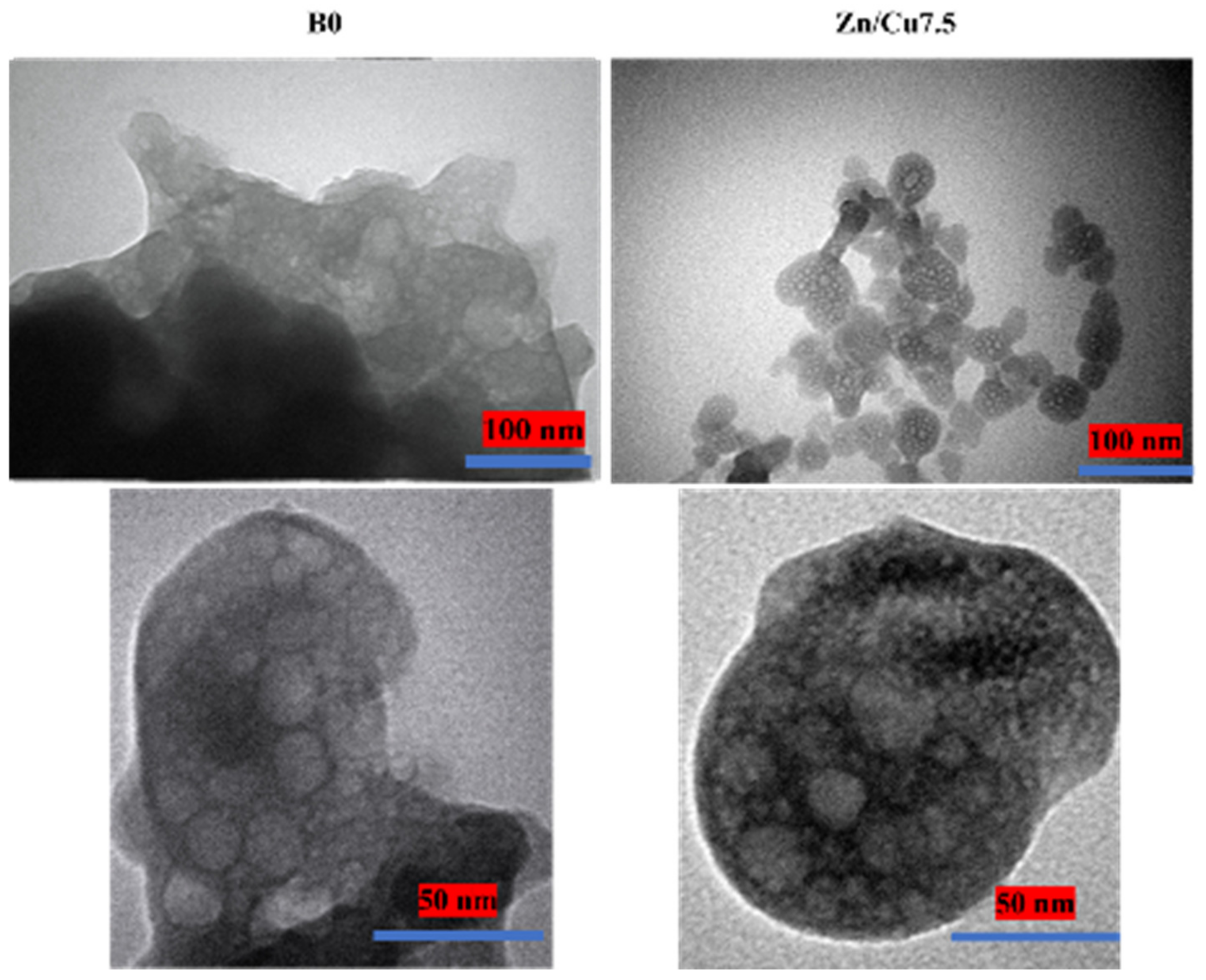 Ijms 24 01304 g003