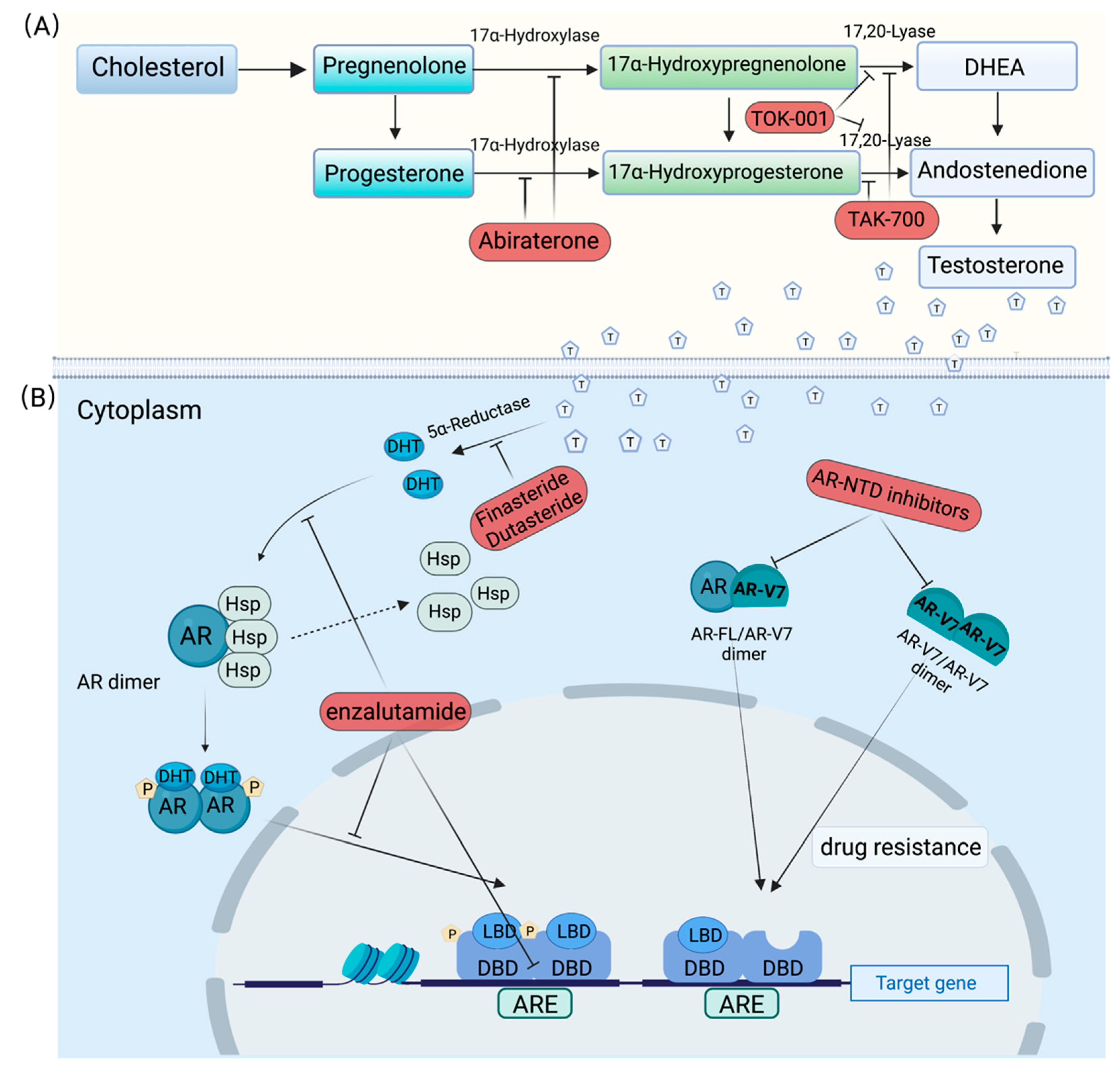 Ijms 24 01305 g002 Ijms 24 01305 g002