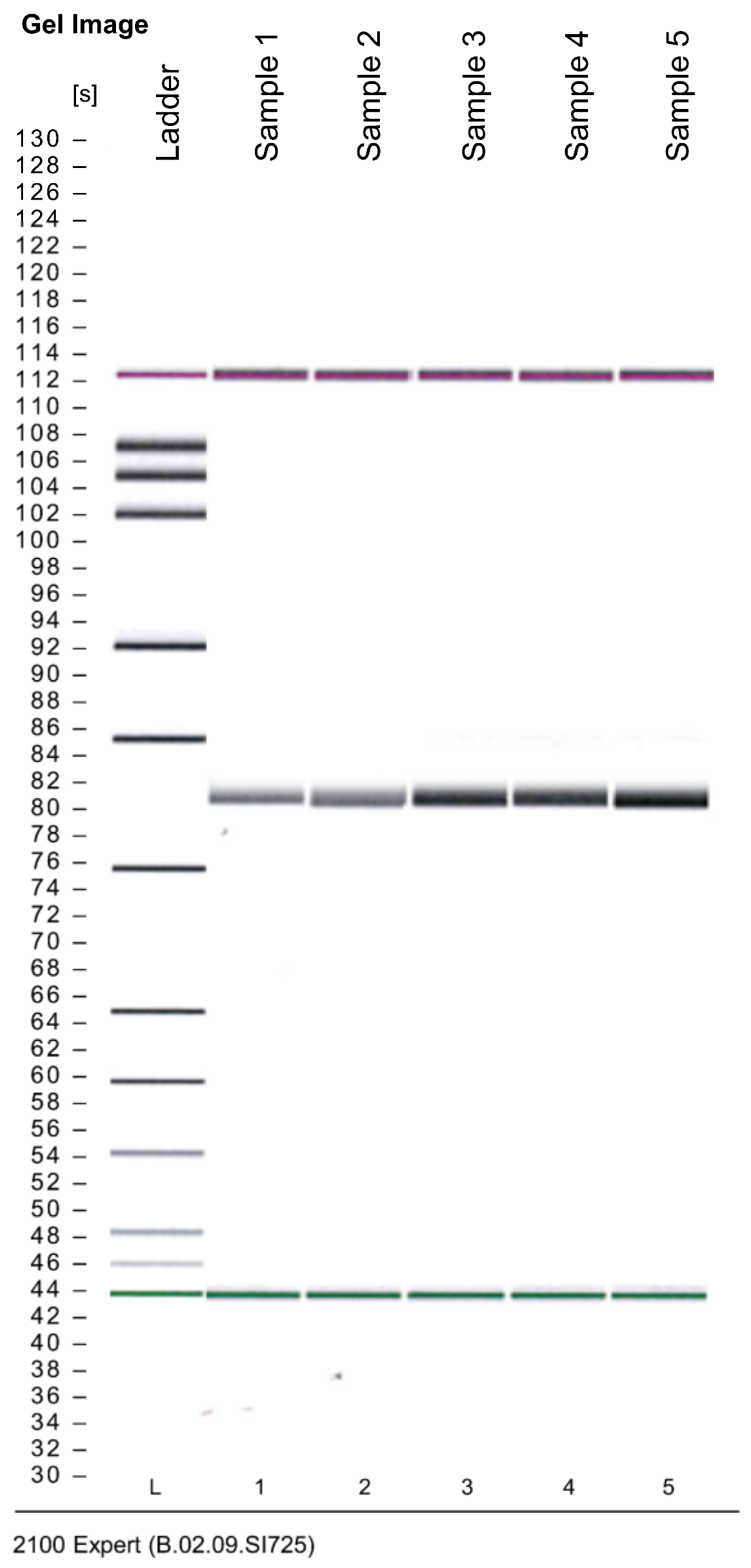 Ijms 24 01313 g003 Ijms 24 01313 g003