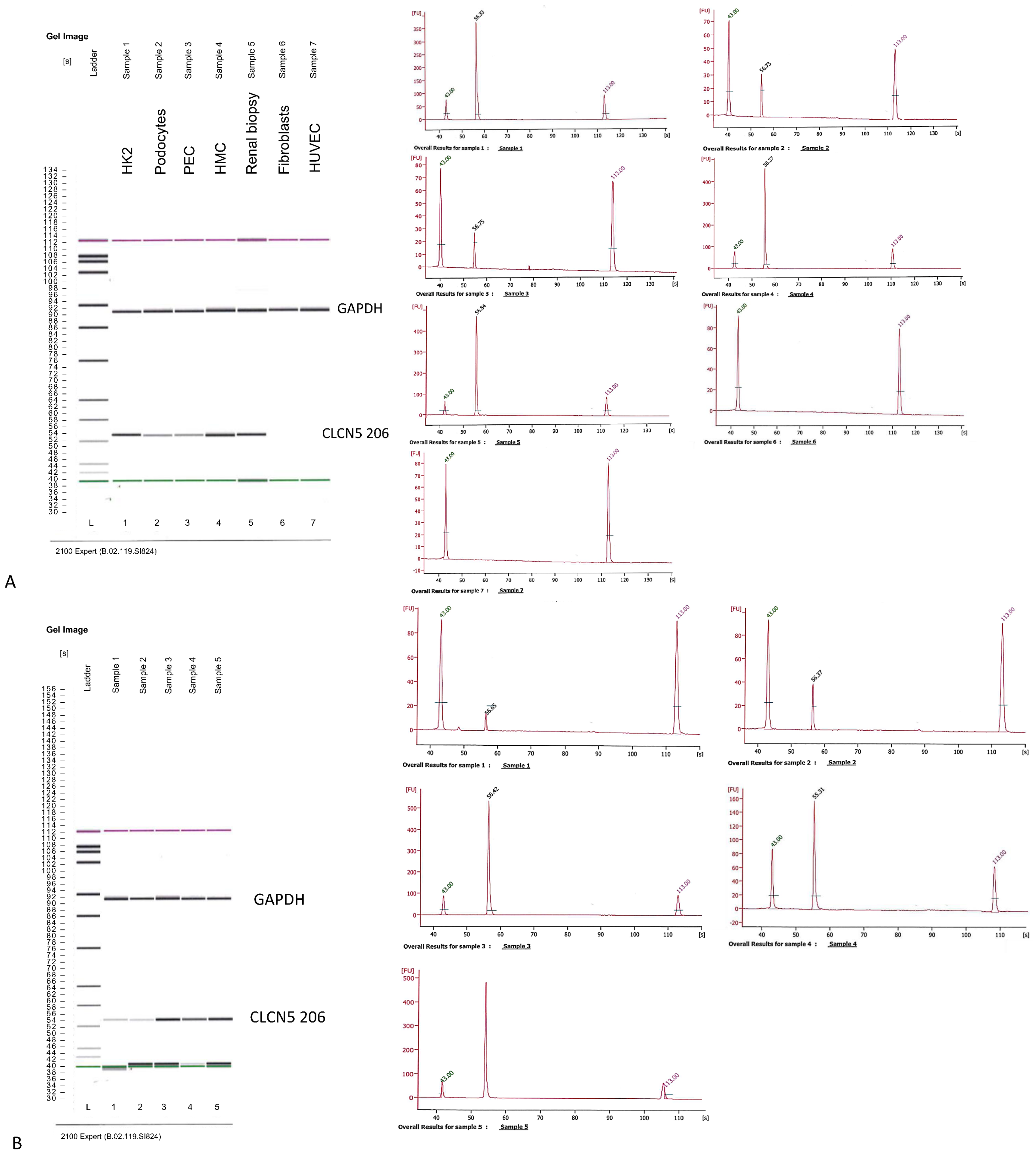 Ijms 24 01313 g004 Ijms 24 01313 g004
