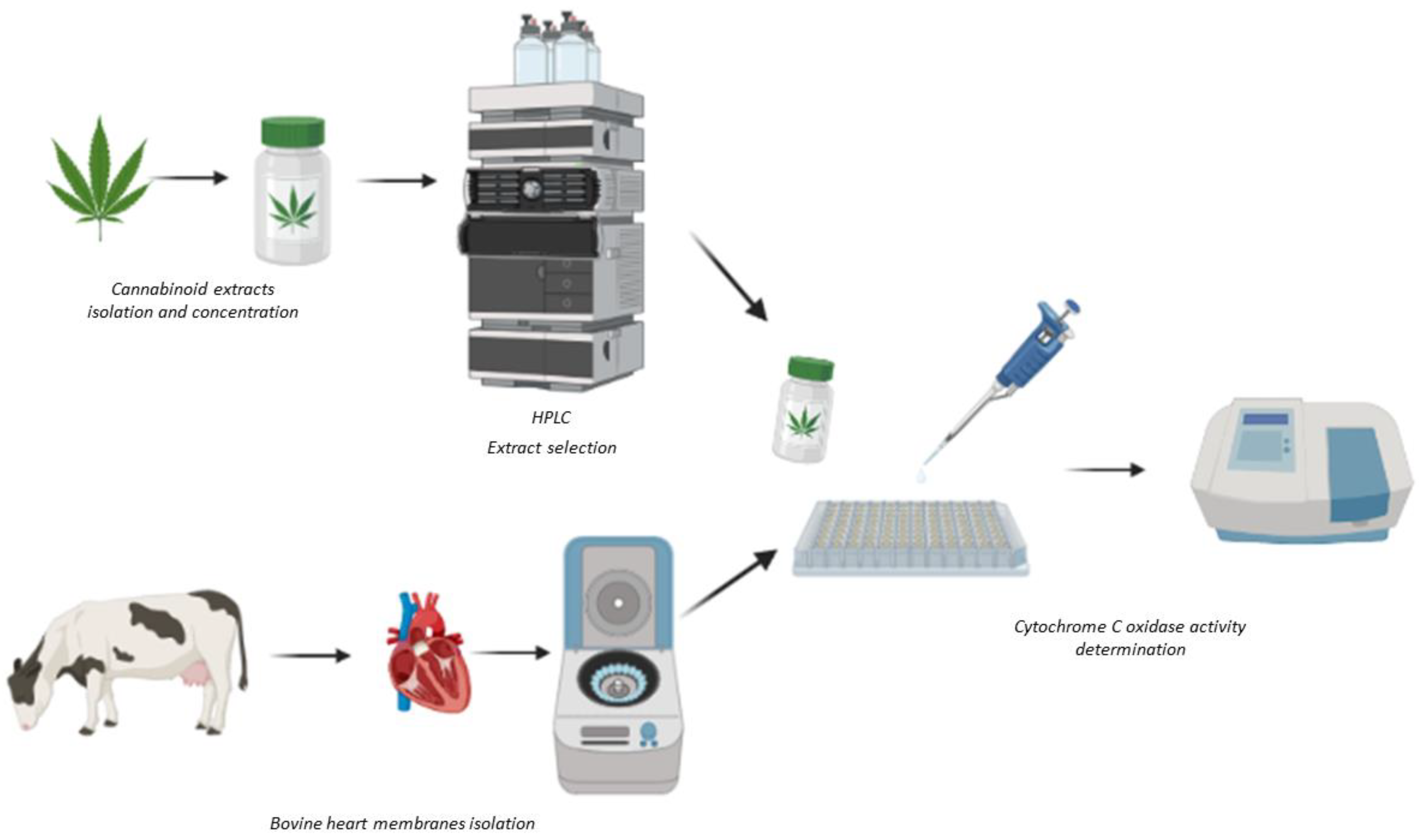 Ijms 24 01315 g001 Ijms 24 01315 g001