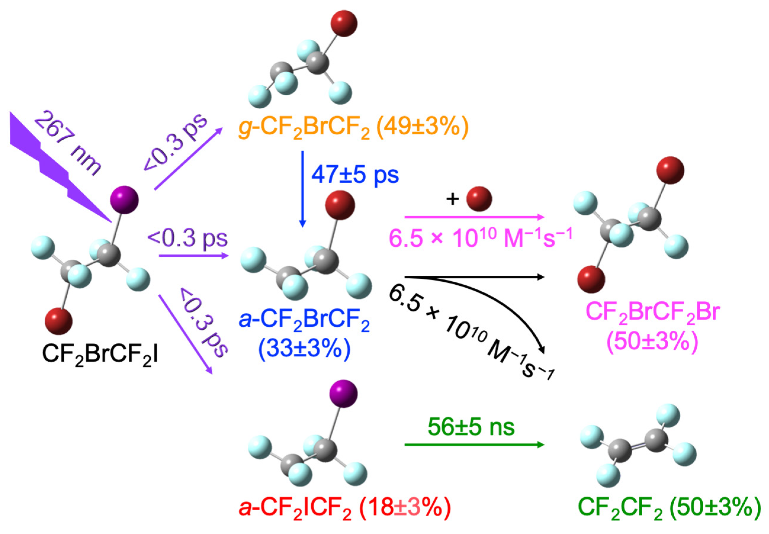 Ijms 24 01319 sch001