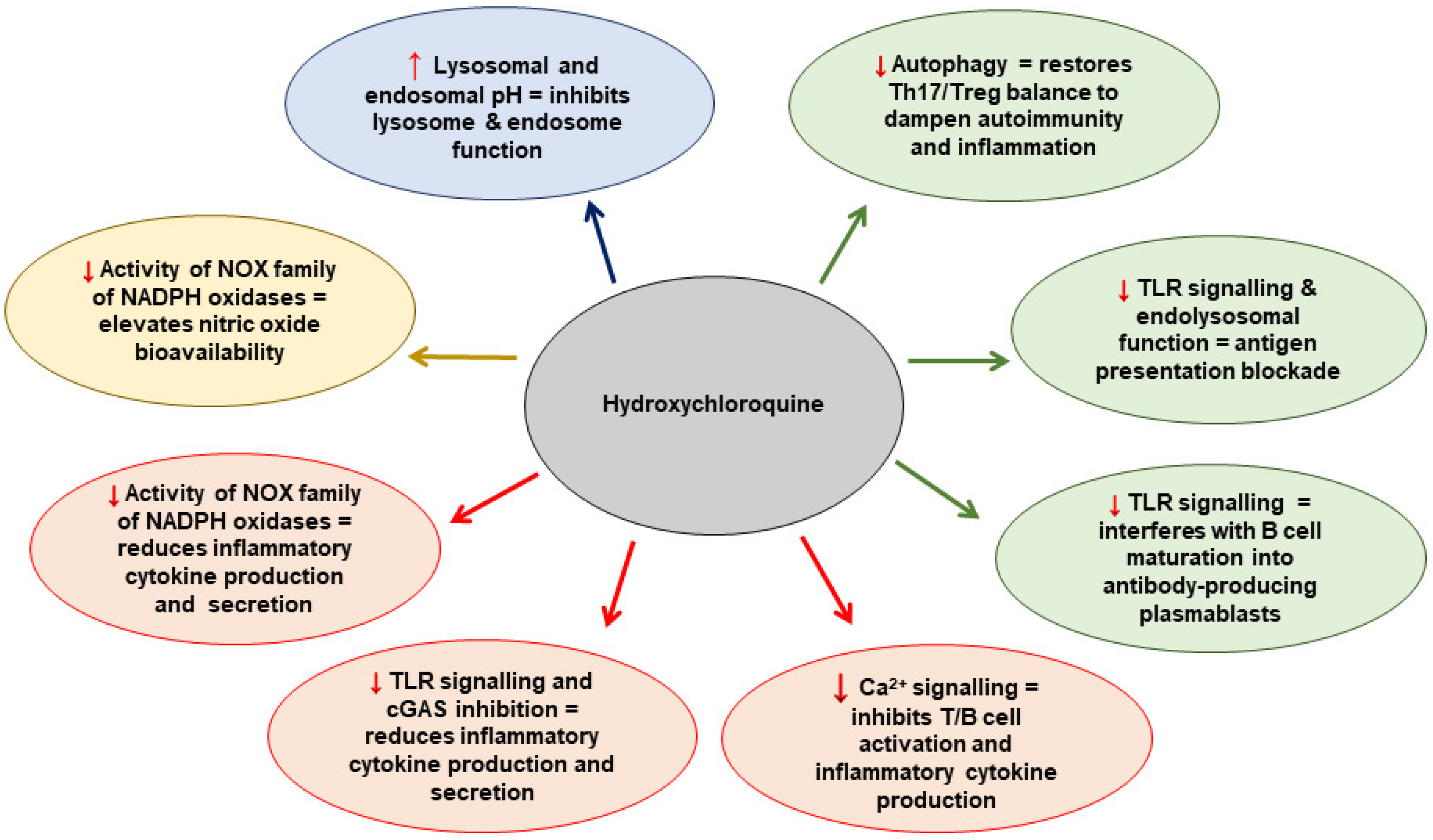 Ijms 24 01331 g001 Ijms 24 01331 g001