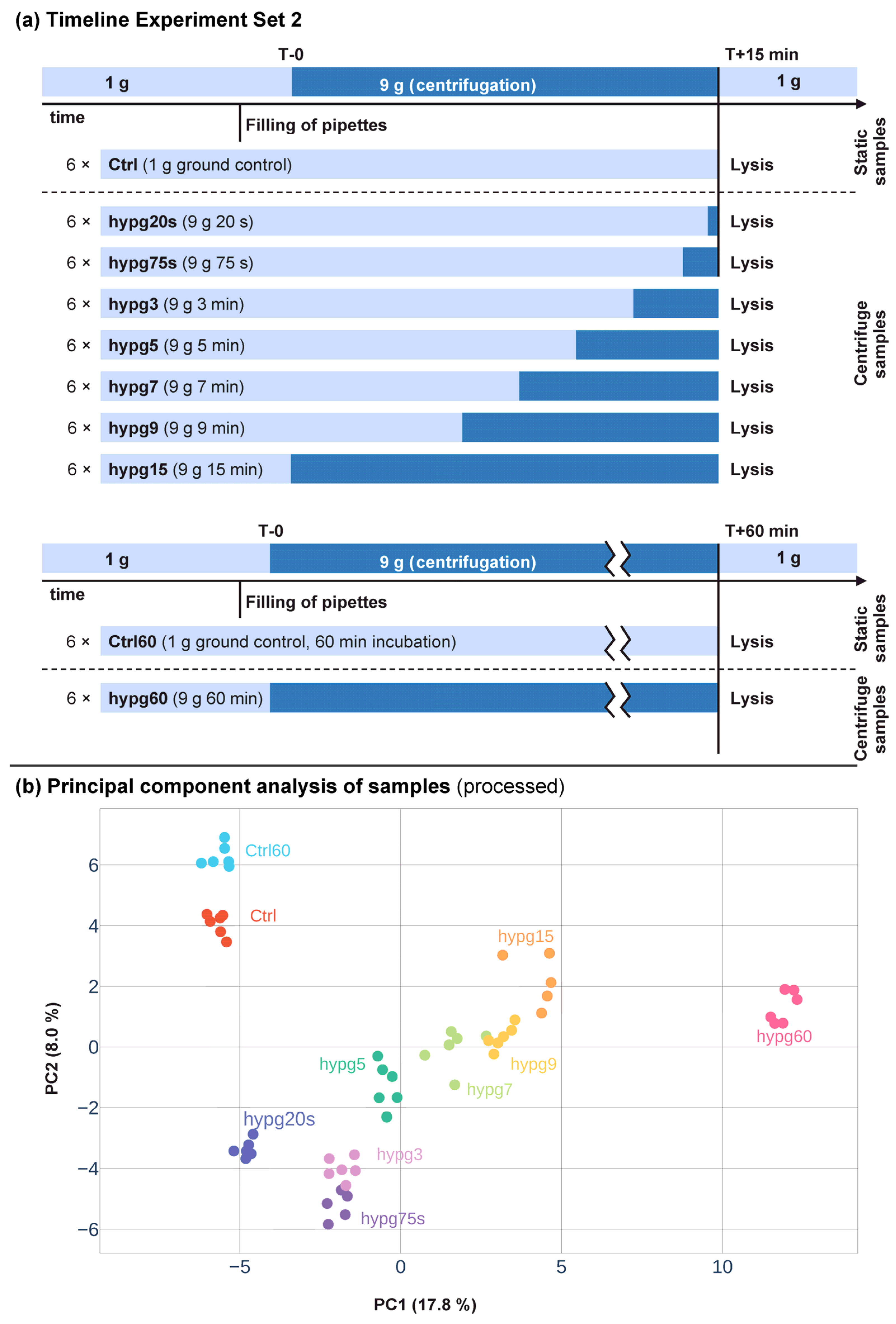 Ijms 24 01351 g001 Ijms 24 01351 g001