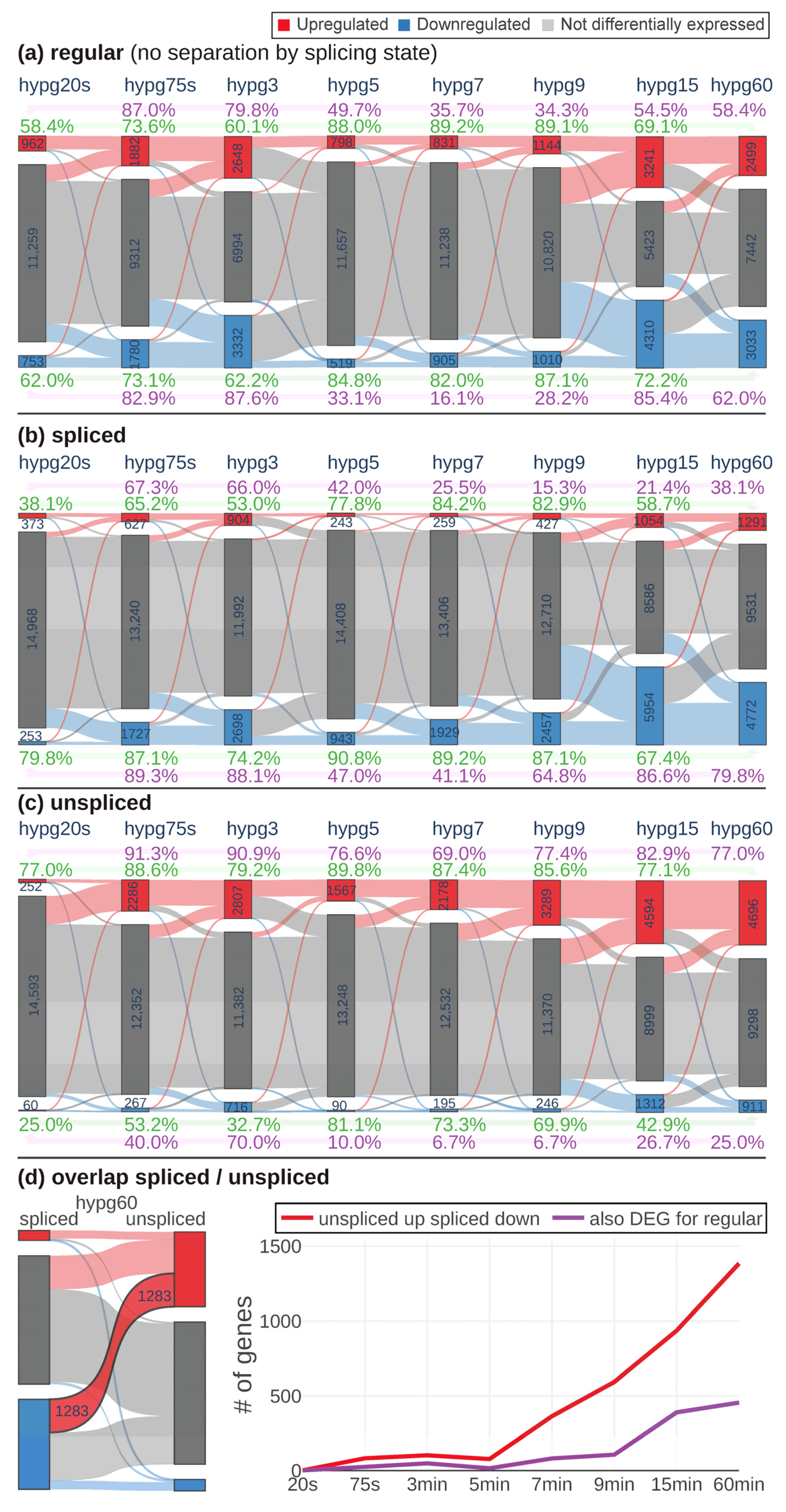 Ijms 24 01351 g004 Ijms 24 01351 g004