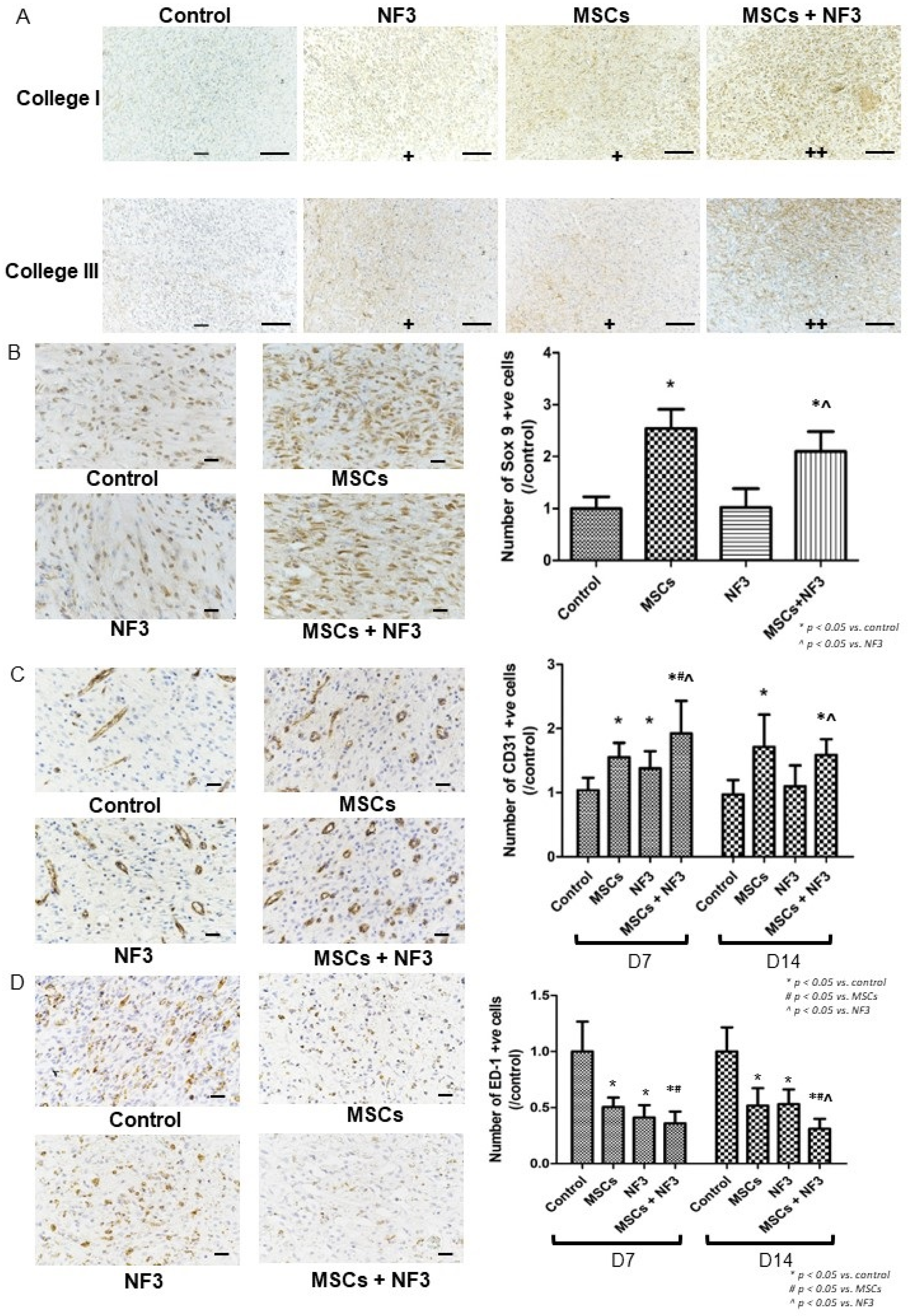 Ijms 24 01372 g002 Ijms 24 01372 g002