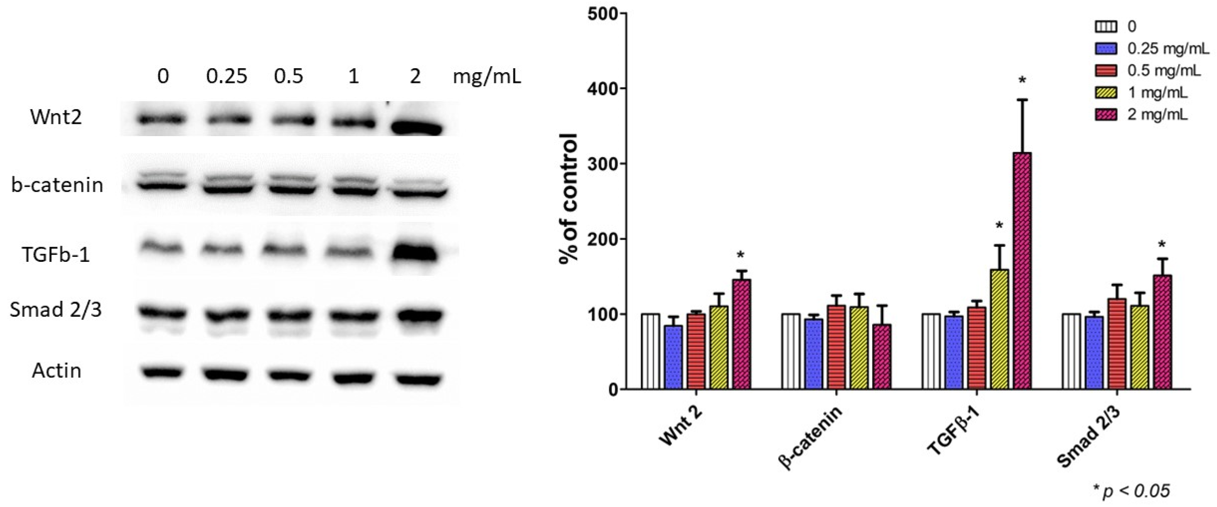 Ijms 24 01372 g007 Ijms 24 01372 g007