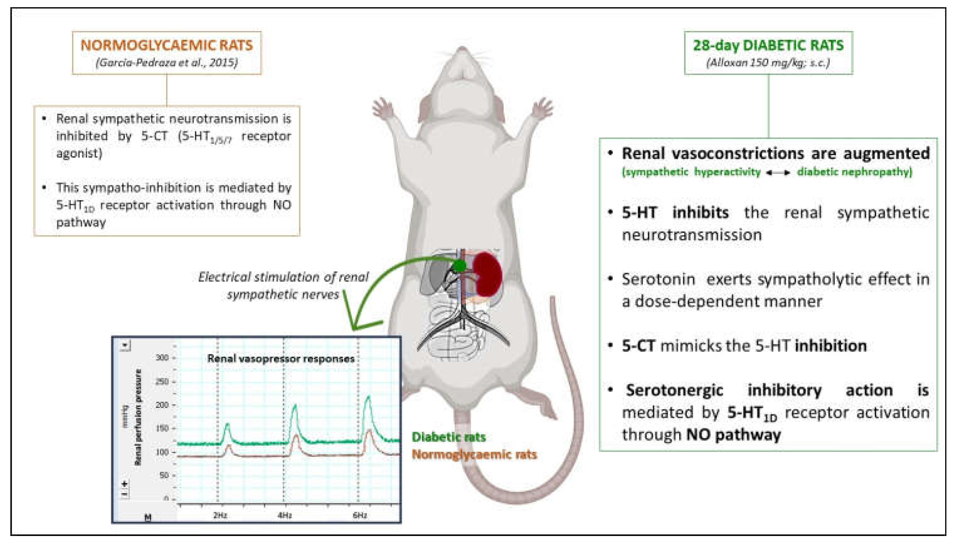 Ijms 24 01378 g007 Ijms 24 01378 g007