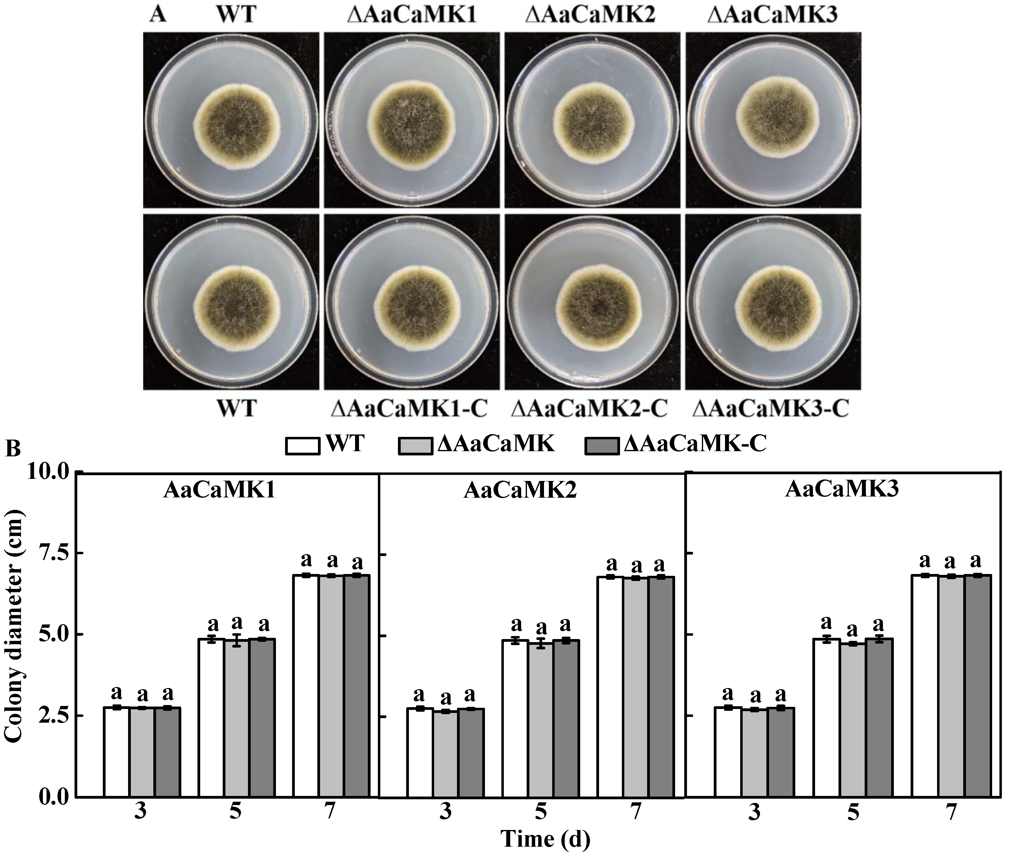 Ijms 24 01381 g001 Ijms 24 01381 g001