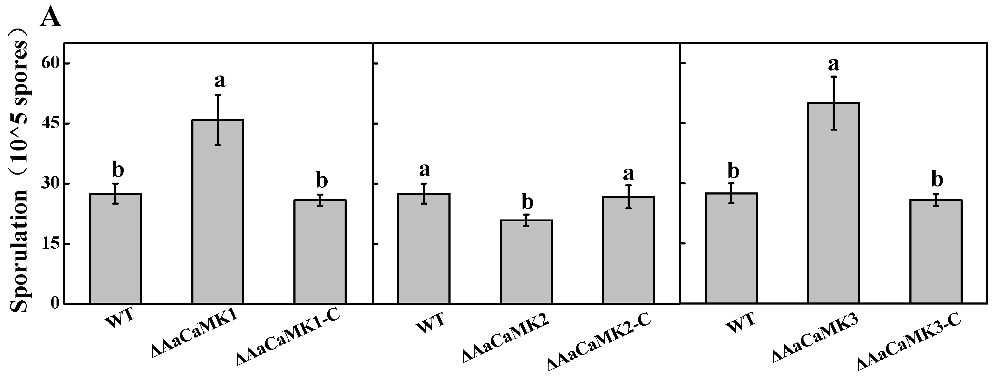 Ijms 24 01381 g002a Ijms 24 01381 g002a