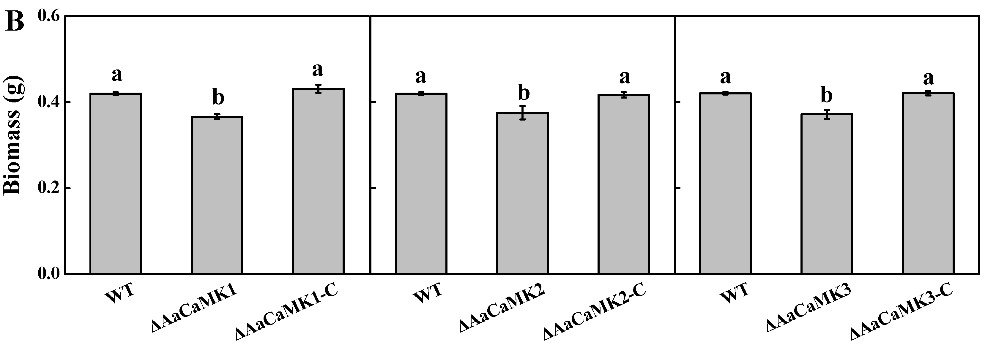 Ijms 24 01381 g002b Ijms 24 01381 g002b