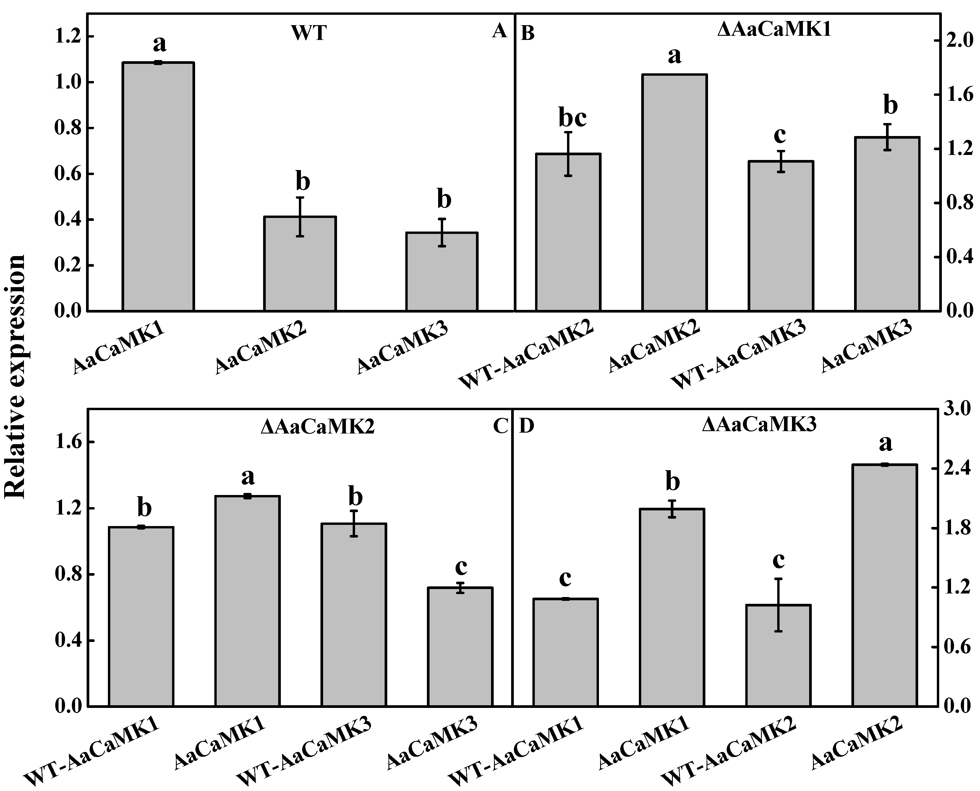 Ijms 24 01381 g004 Ijms 24 01381 g004