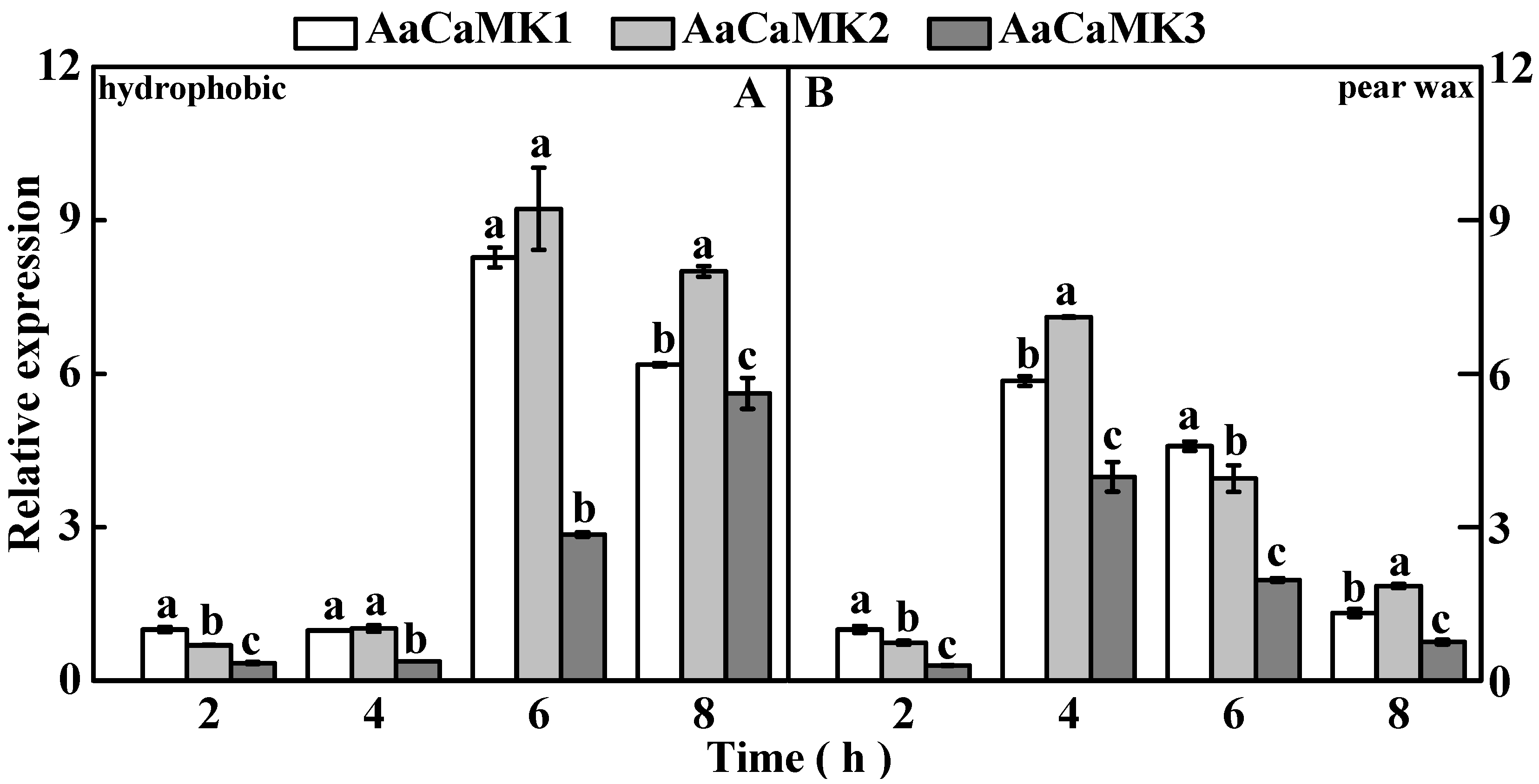 Ijms 24 01381 g005 Ijms 24 01381 g005