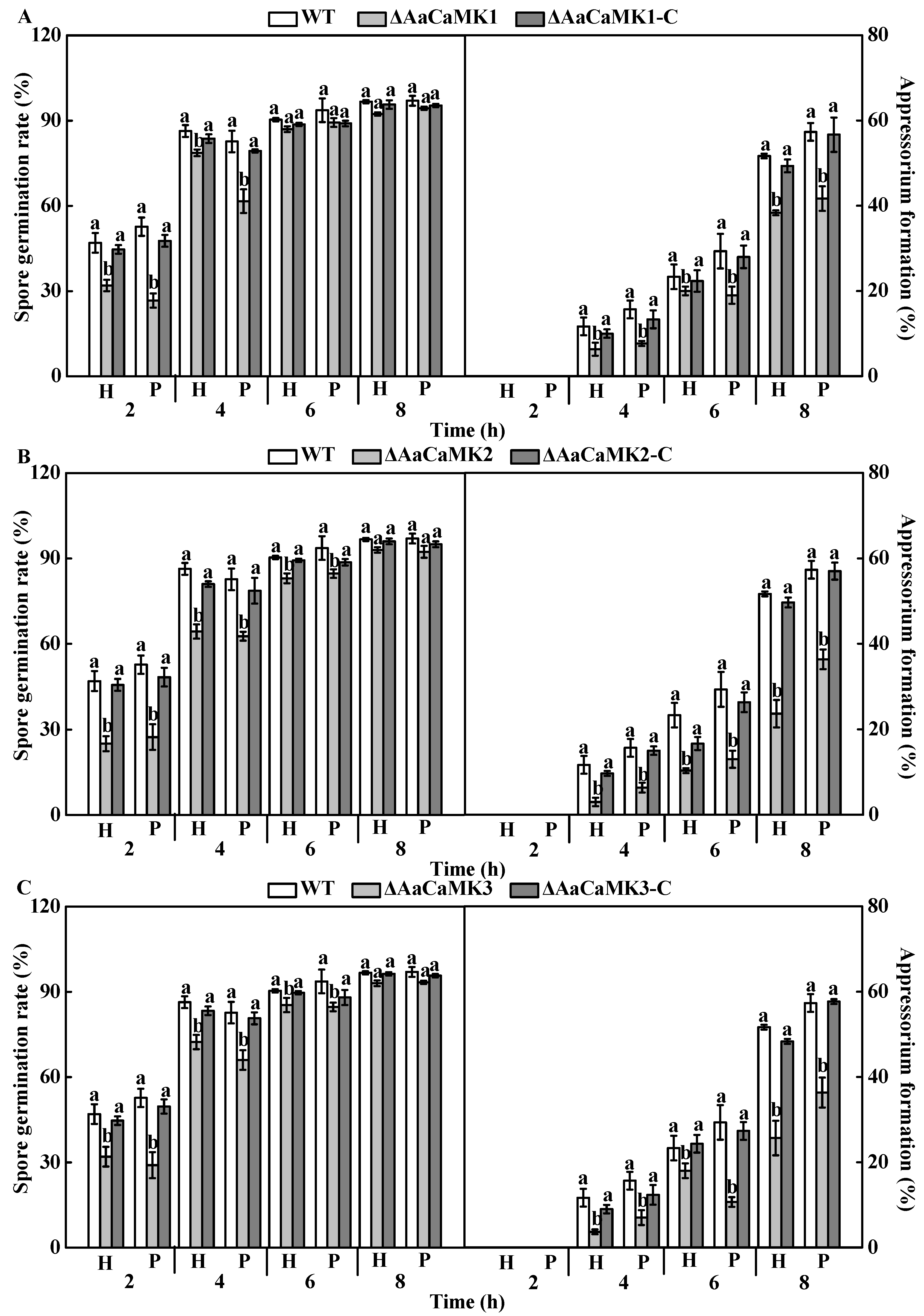 Ijms 24 01381 g006 Ijms 24 01381 g006