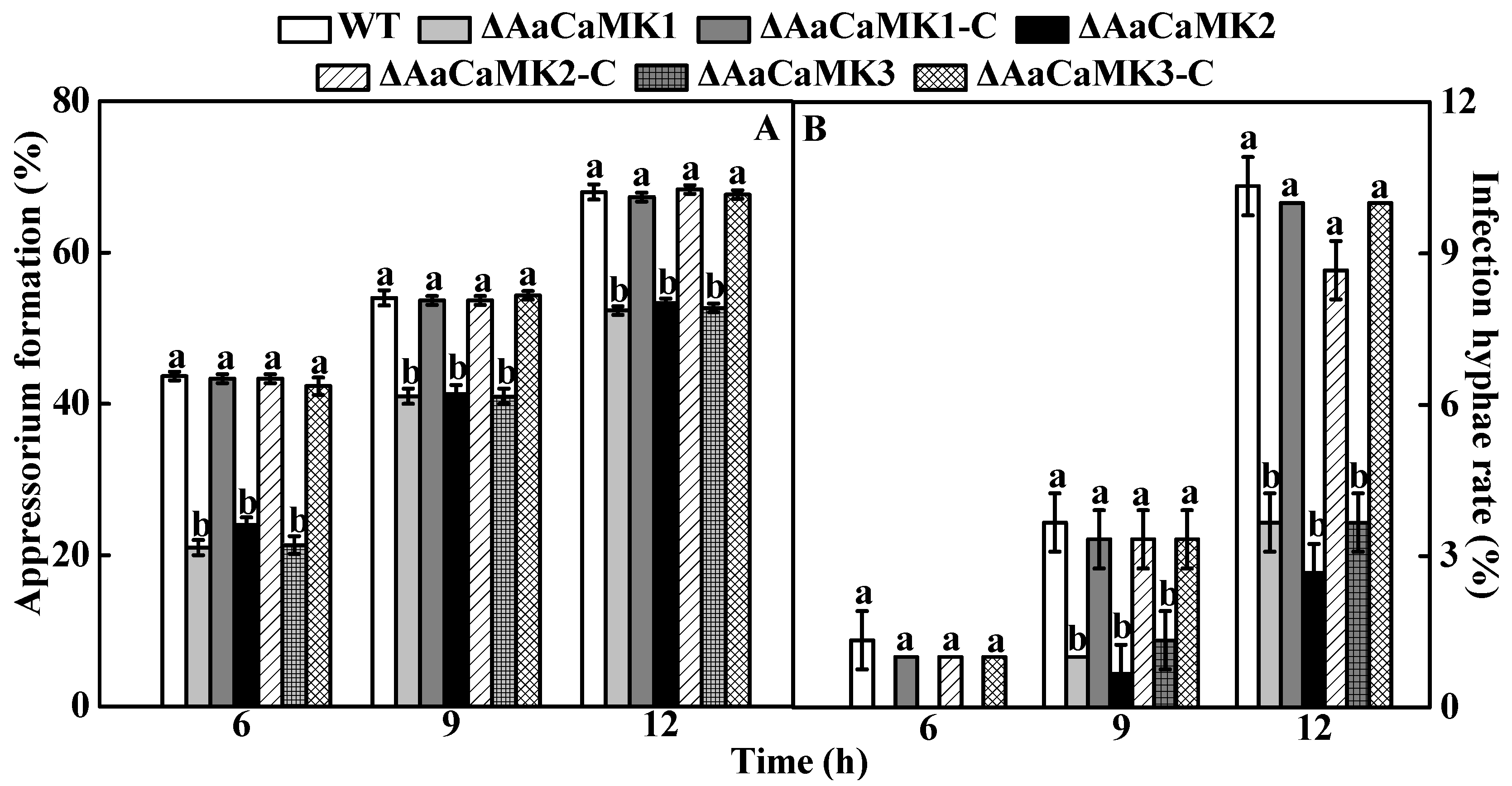 Ijms 24 01381 g007 Ijms 24 01381 g007