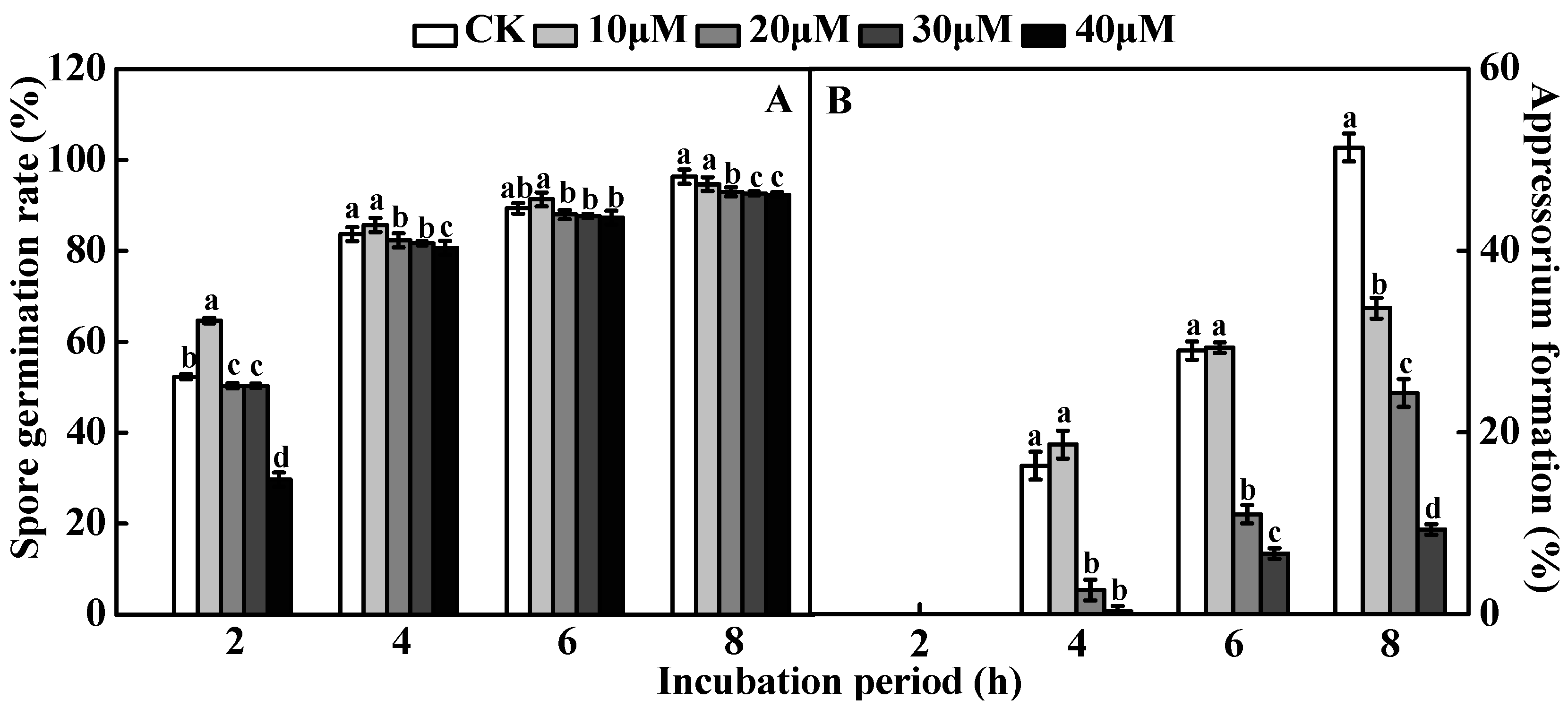 Ijms 24 01381 g008a Ijms 24 01381 g008a