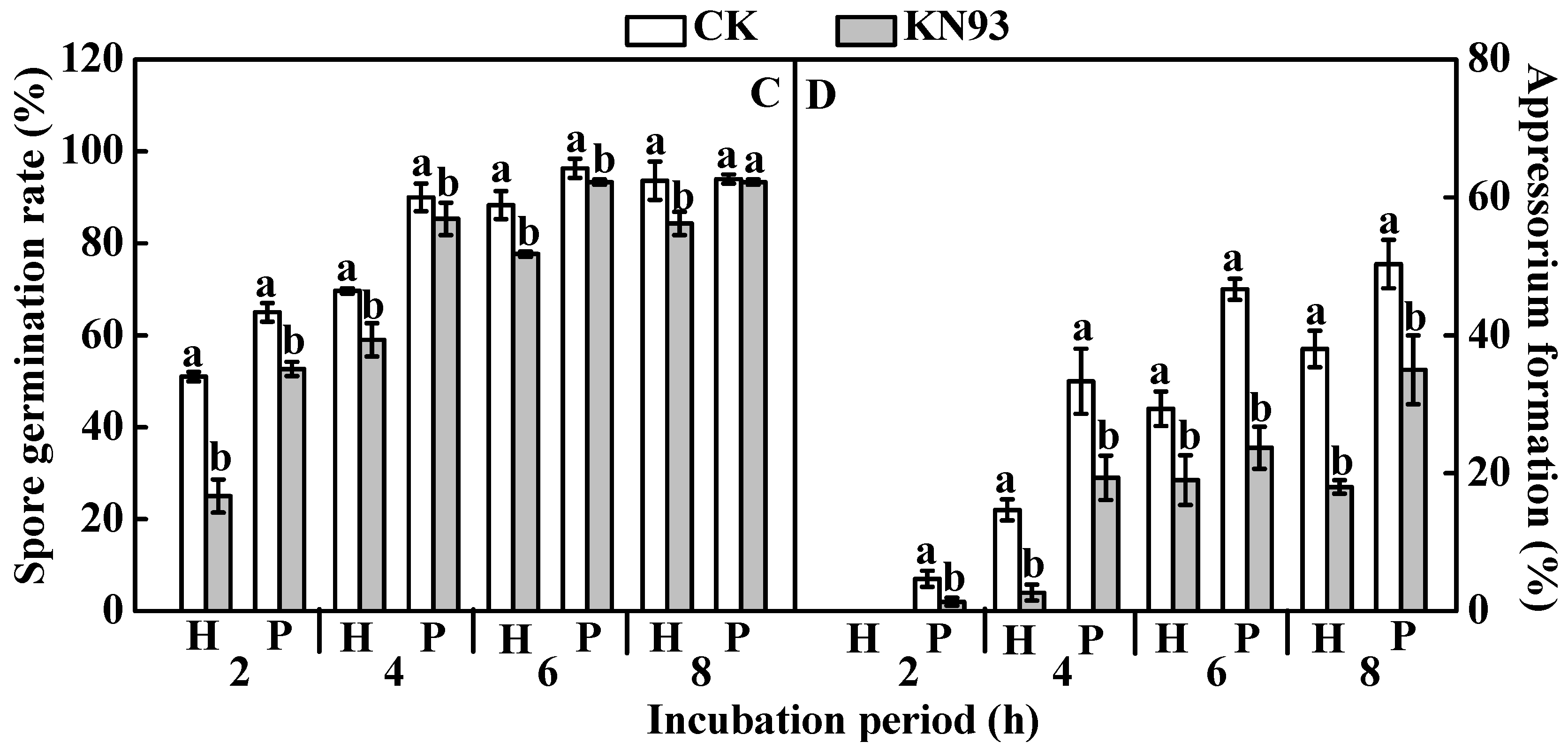 Ijms 24 01381 g008b Ijms 24 01381 g008b