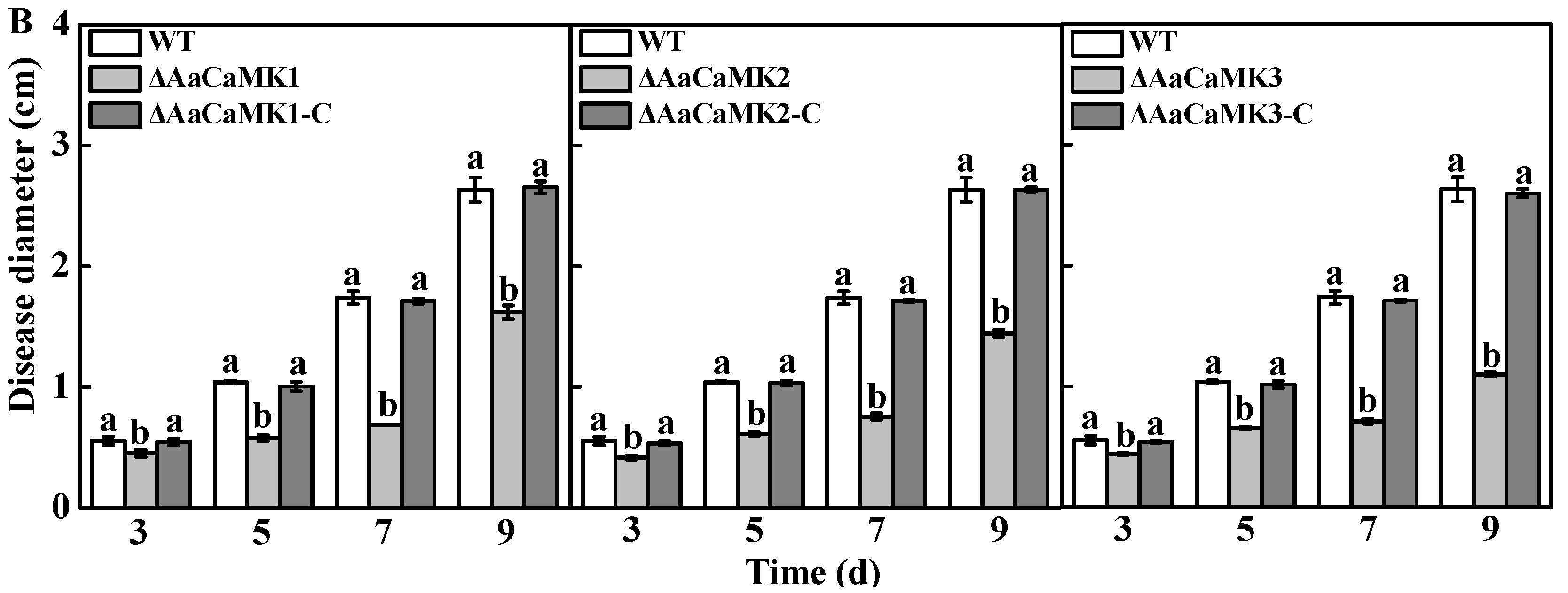 Ijms 24 01381 g009b Ijms 24 01381 g009b