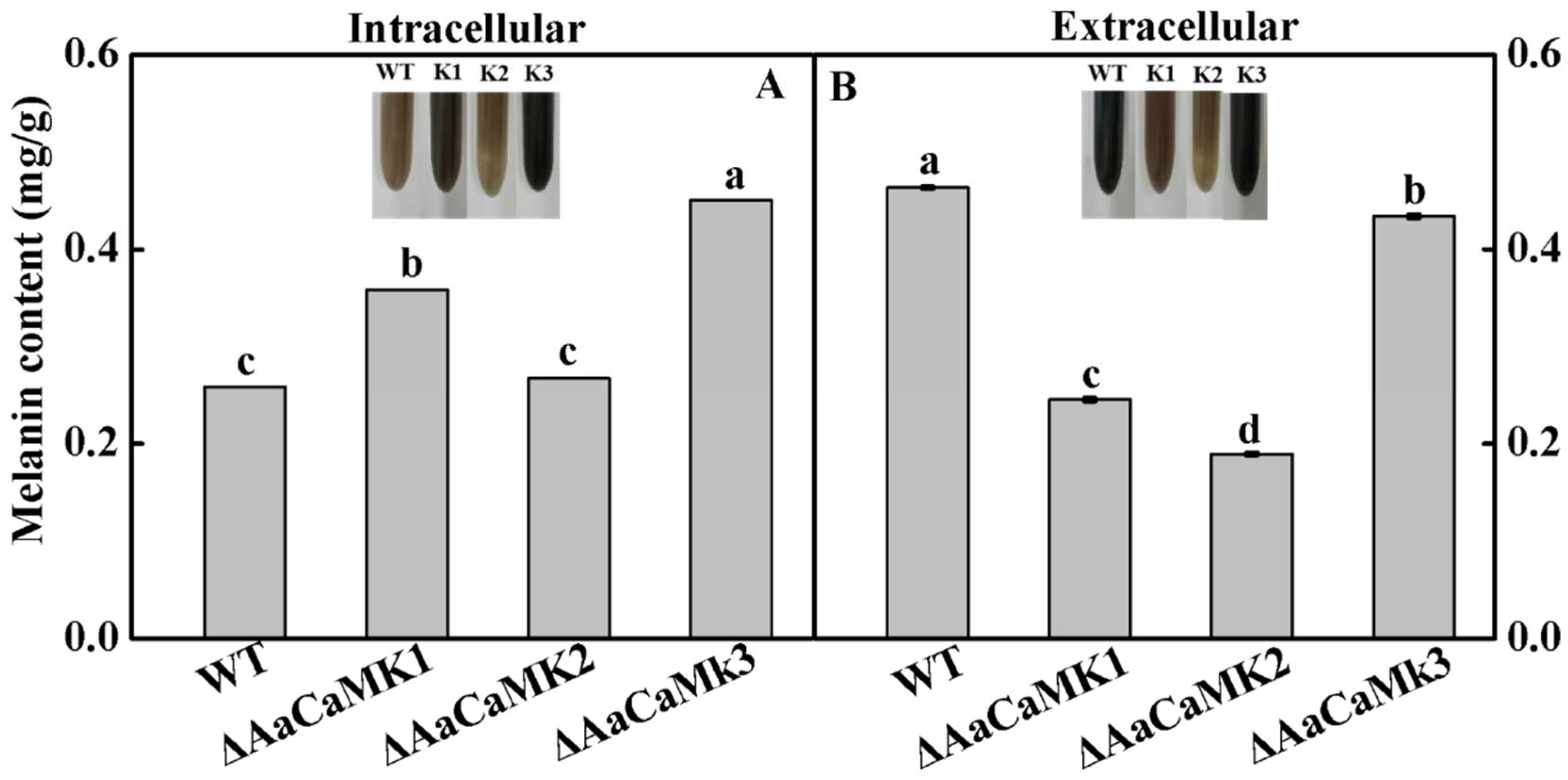 Ijms 24 01381 g010 Ijms 24 01381 g010